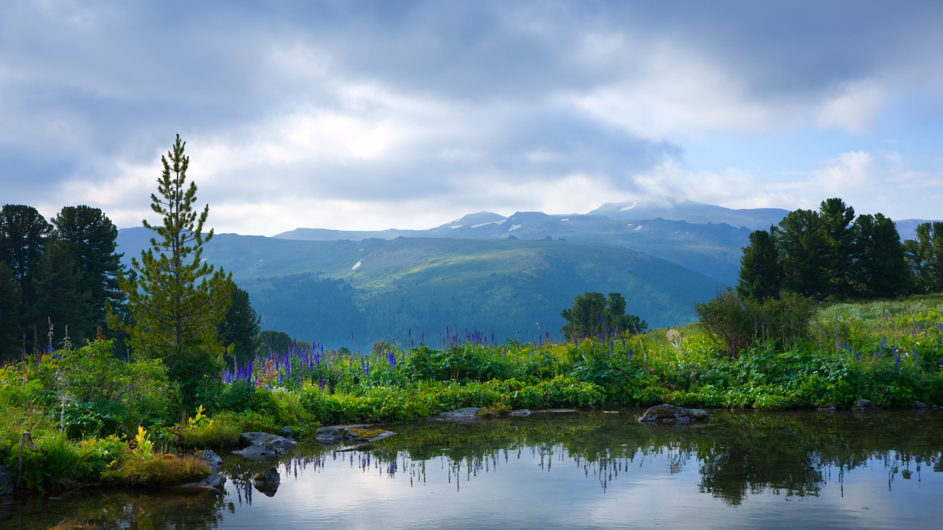 Вид на тихое озеро с покрытыми зеленой травой берегами на фоне гор
