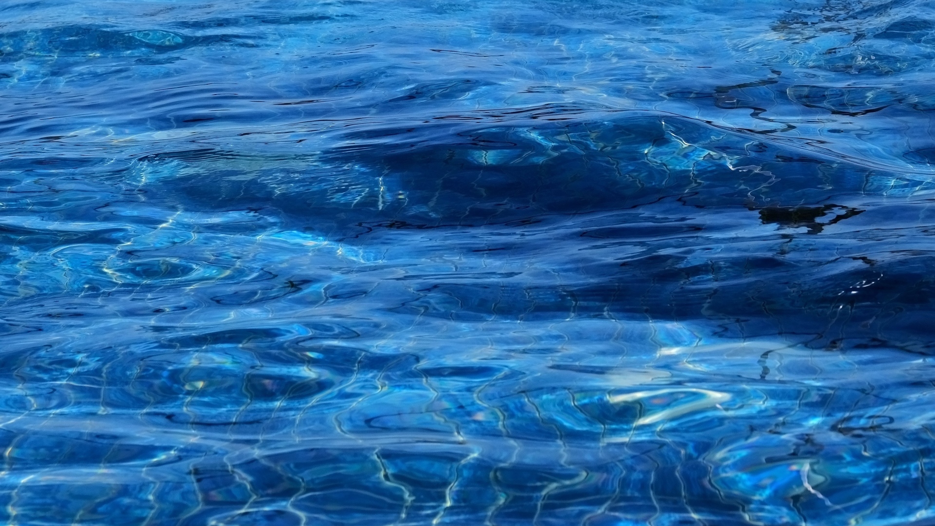 Синяя спокойная вода океана