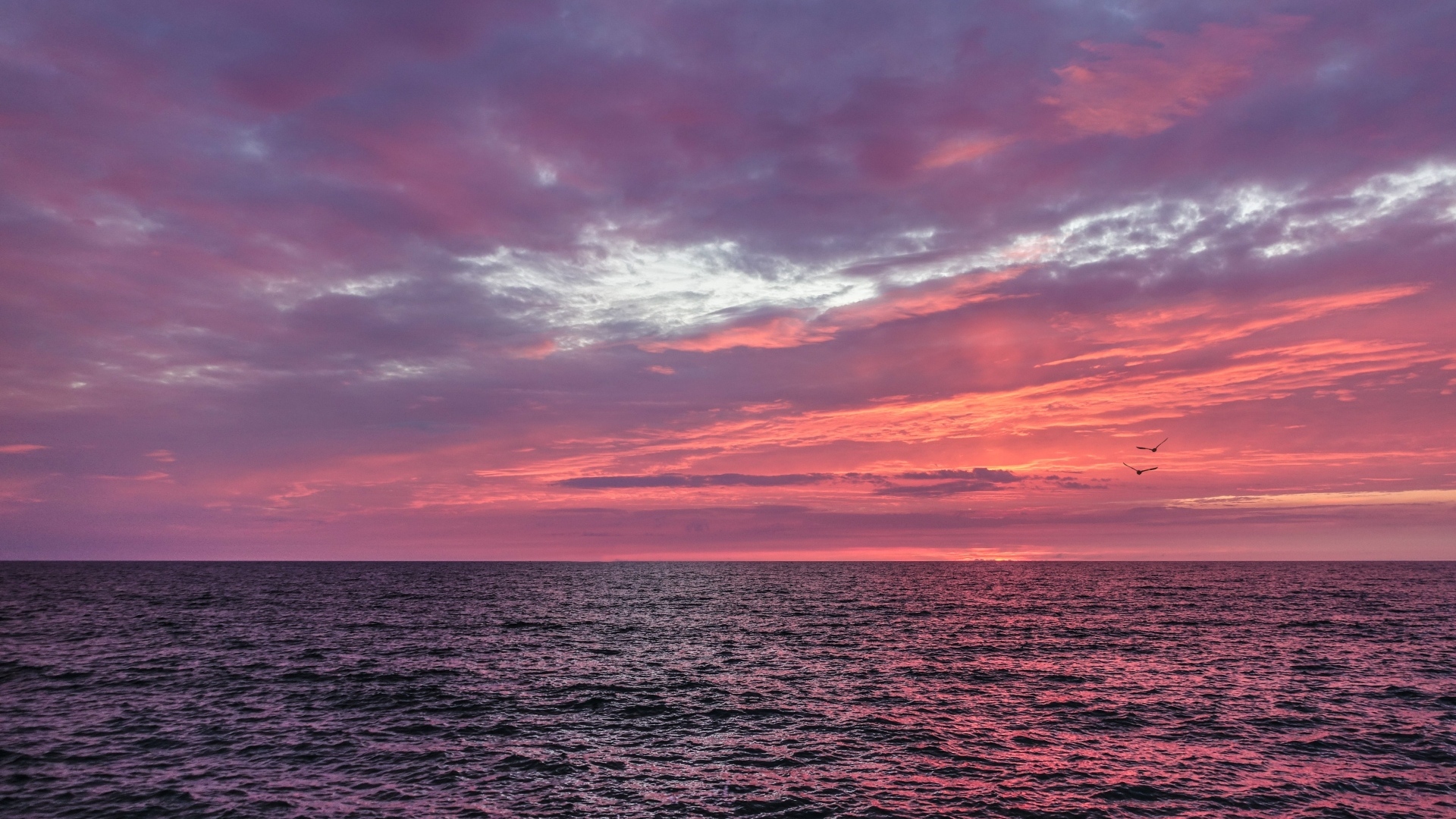 Красивый сиреневый закат над морем