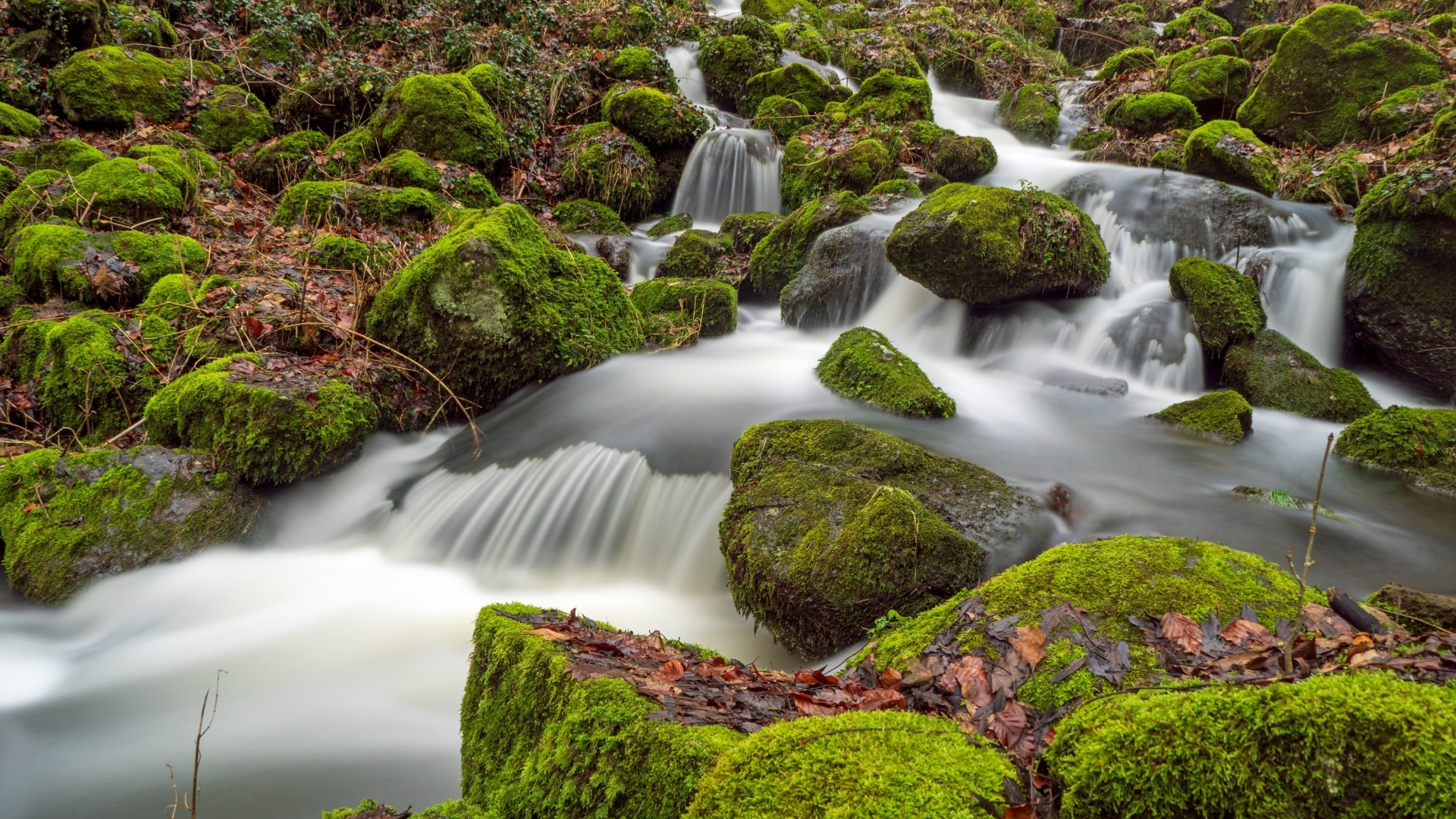 Быстрая вода лесного водопада стекает по покрытым зеленым мхом камням