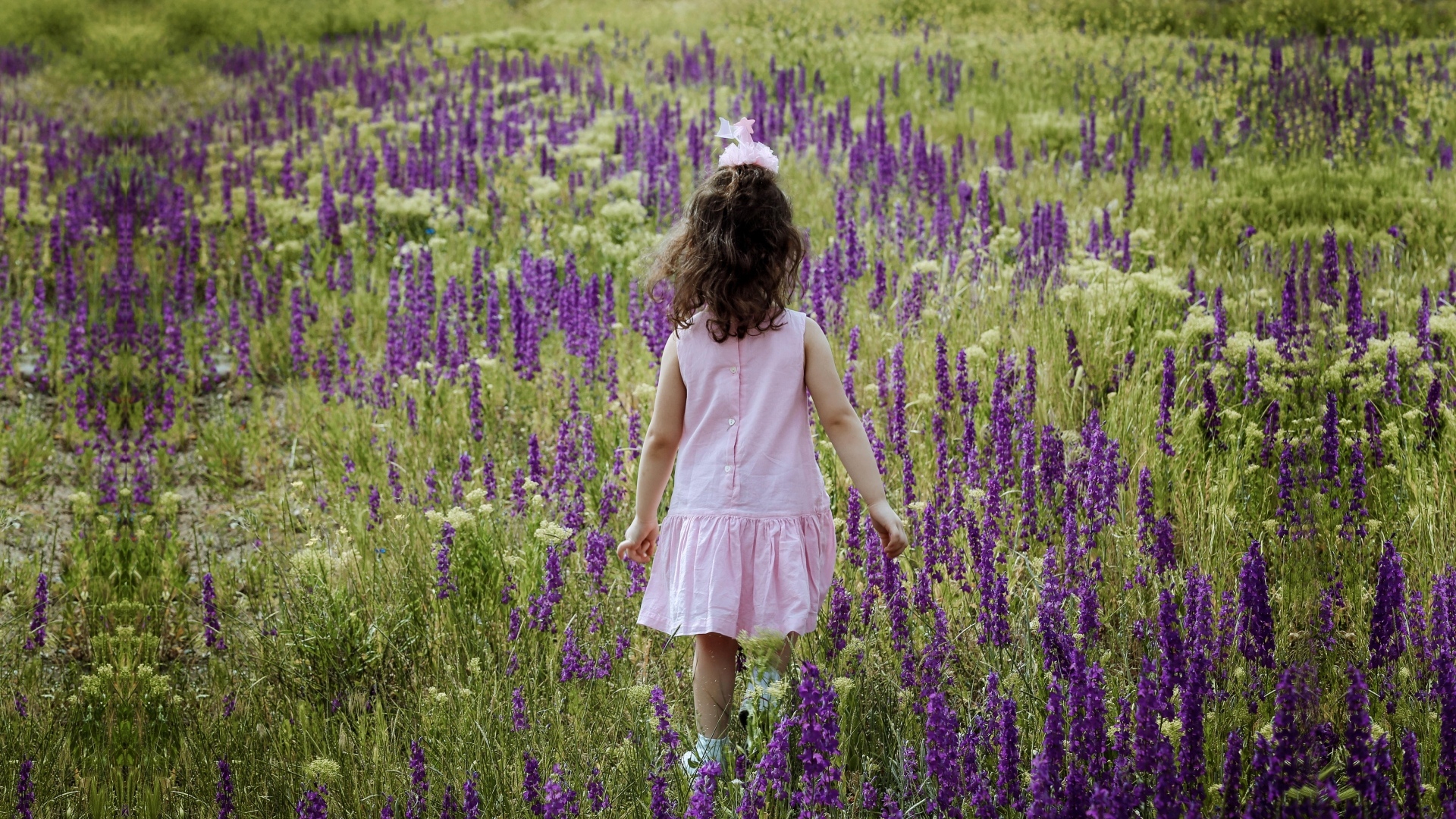 Девочка в розовом платье гуляет по полю с цветами