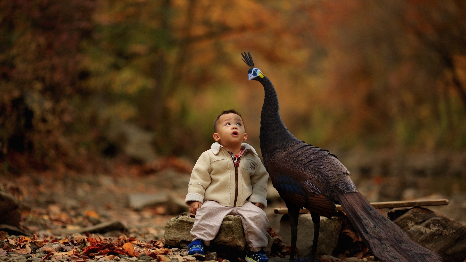 Мальчик с павлином в парке