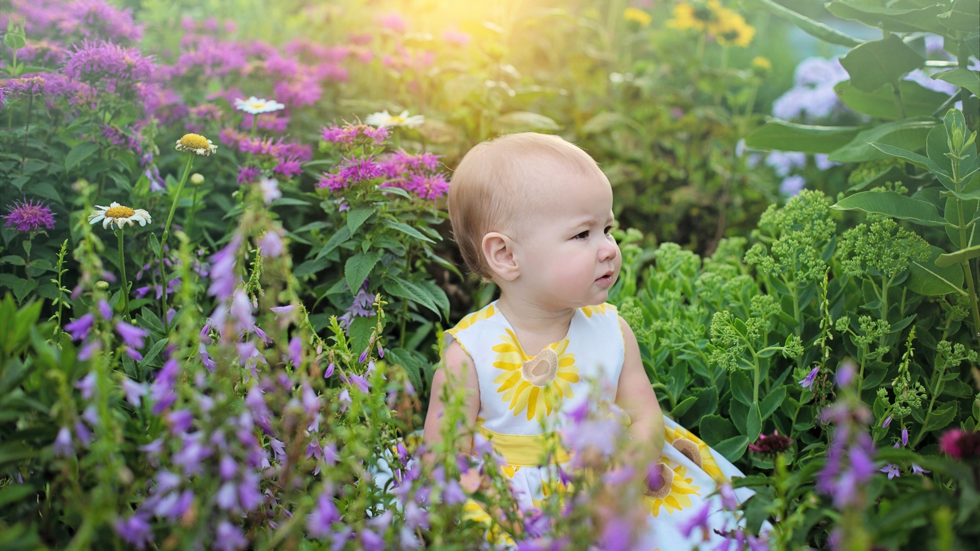 Милая девочка в платье сидит в цветах