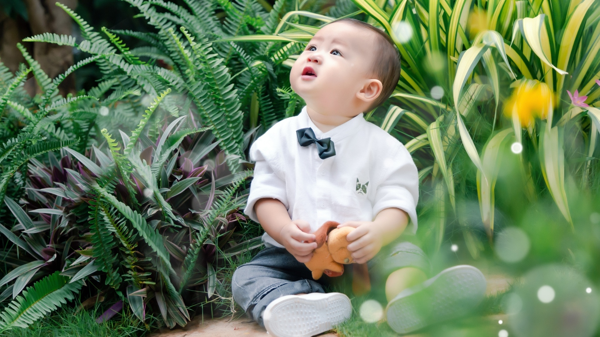 Маленький азиатский ребенок в зеленой траве