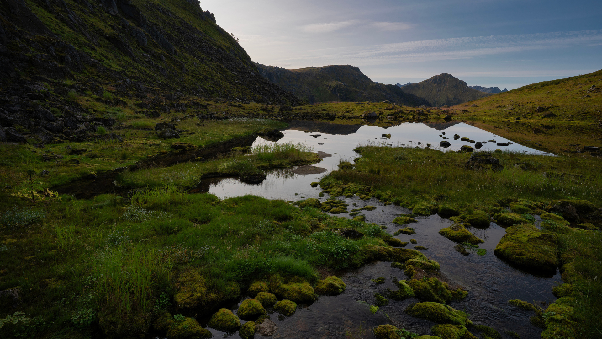 Мелкая горная река покрыта зеленью, Норвегия