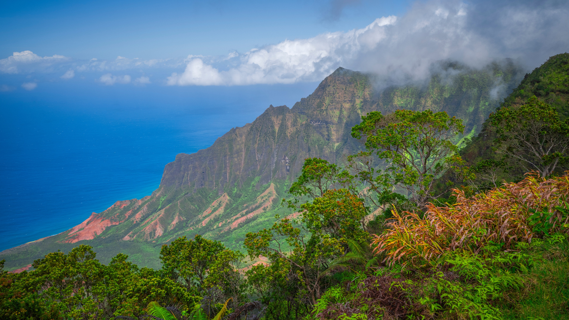 Покрытые зеленью горы на Гавайских островах, США
