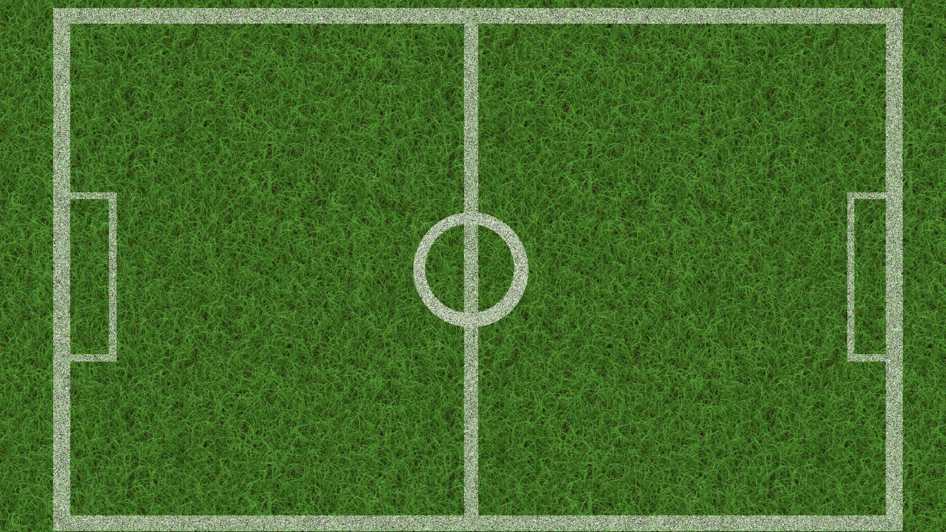 Поле расчерчено белыми линиями на зеленой траве