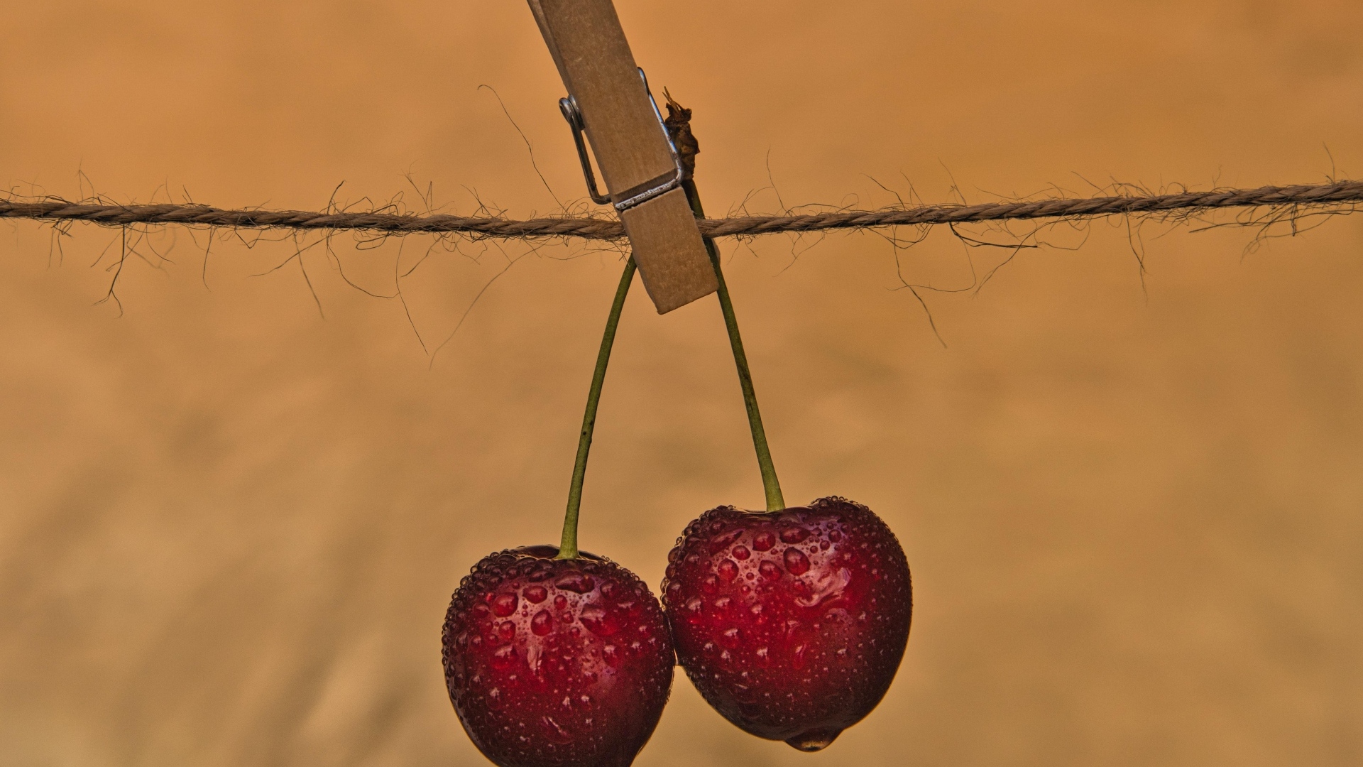 Две мокрые черешни с прищепкой на веревке