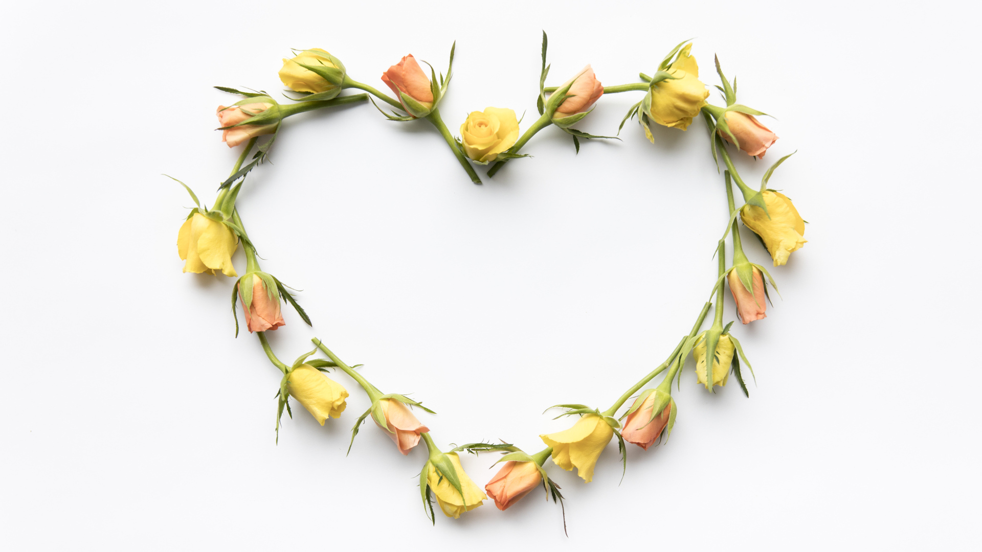 Милое сердце из роз на белом фоне