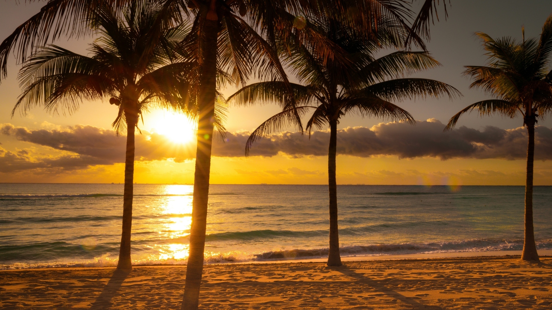 Пальмы на песке у океана на тропическом пляже