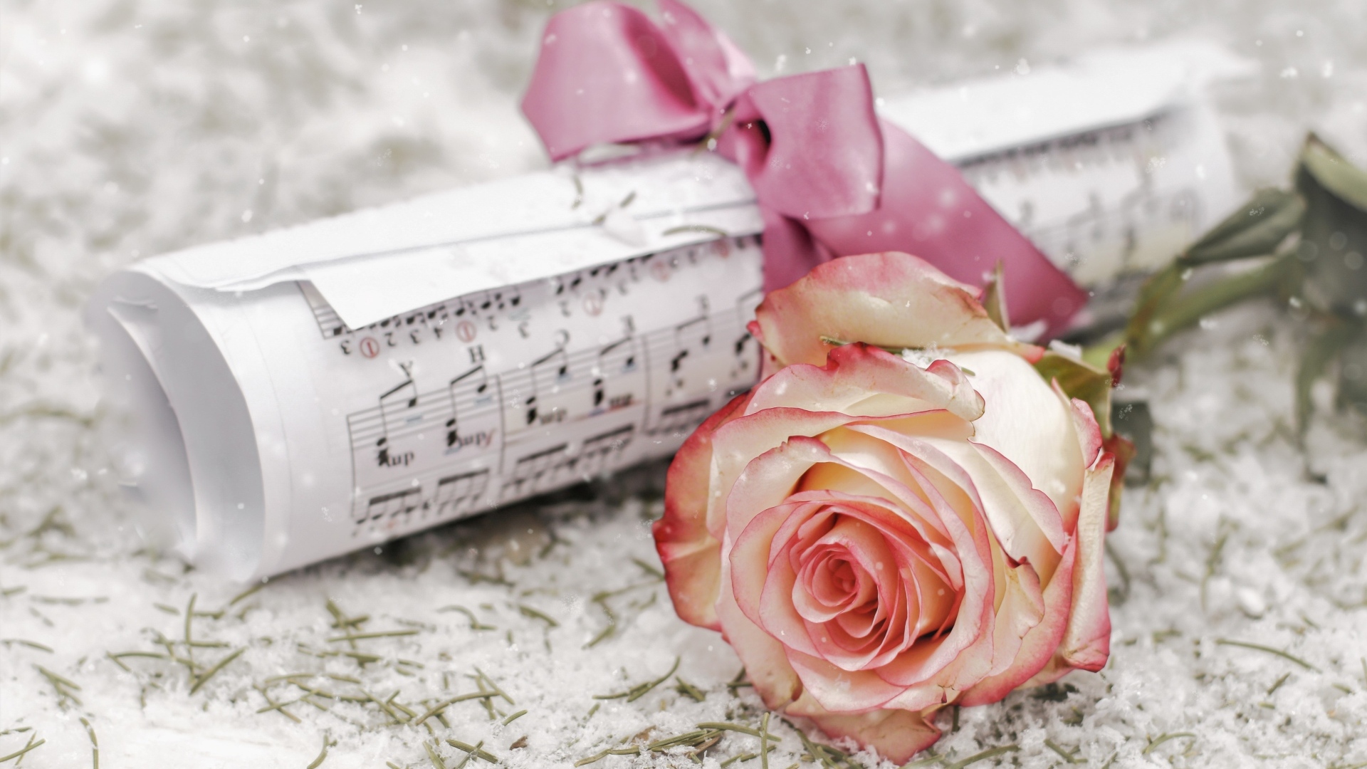 Роза и сверток с нотами лежит на снегу