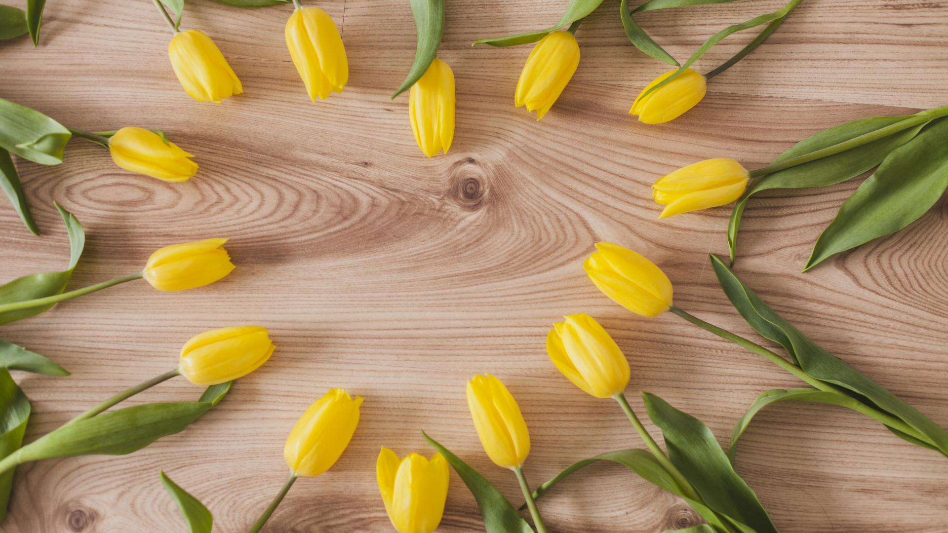 Сердце из желтых тюльпанов на деревянном столе