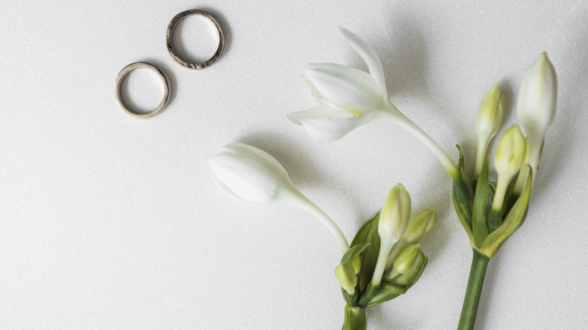 Два оручальных кольца с цветами на сером фоне