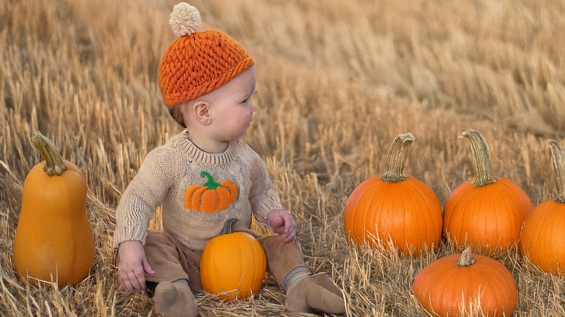 Маленький ребенок сидит на поле с тыквами