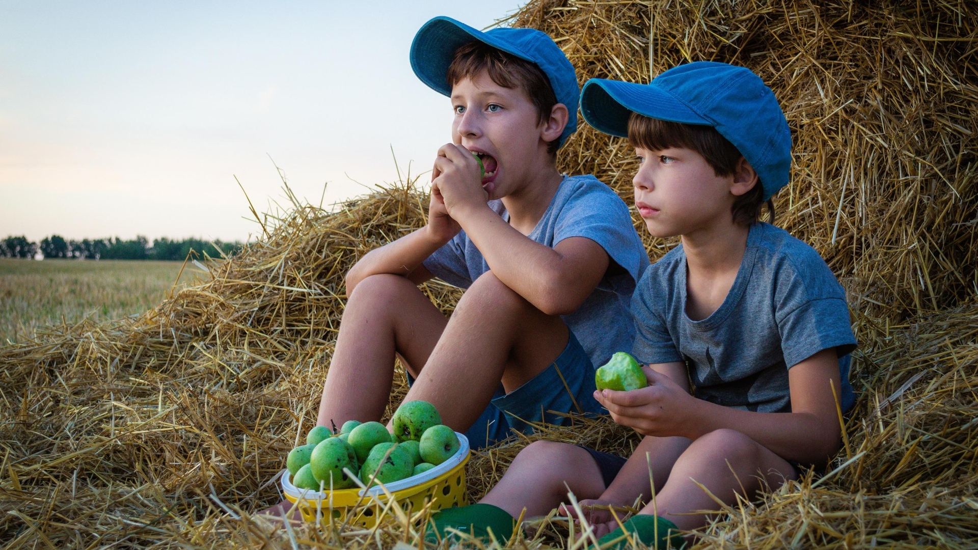 Два маленьких мальчика с зелеными яблоками у стога сена