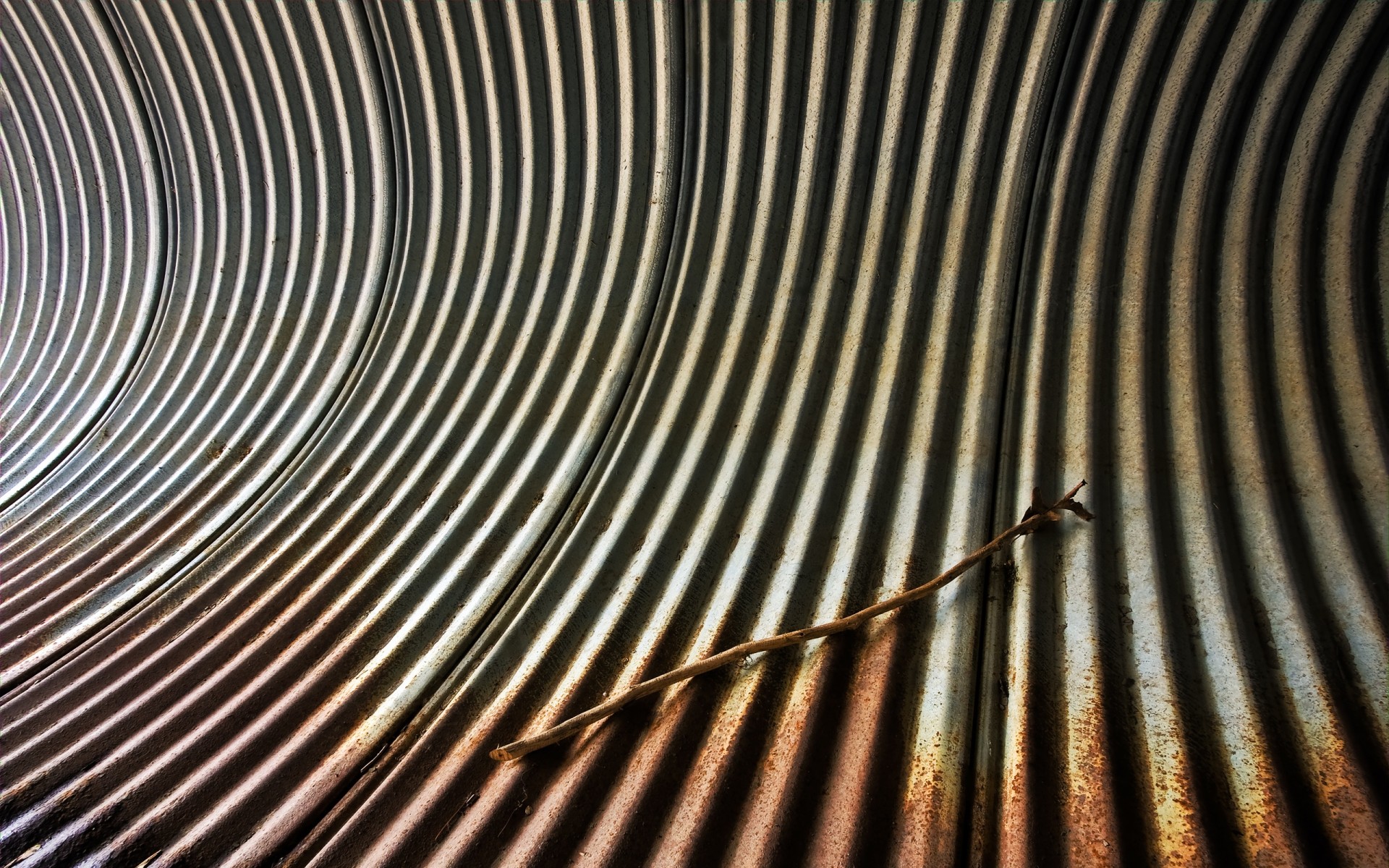 труба зебра