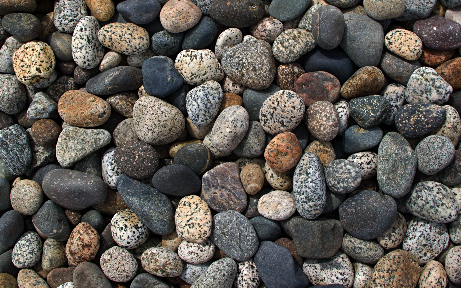 Their stones