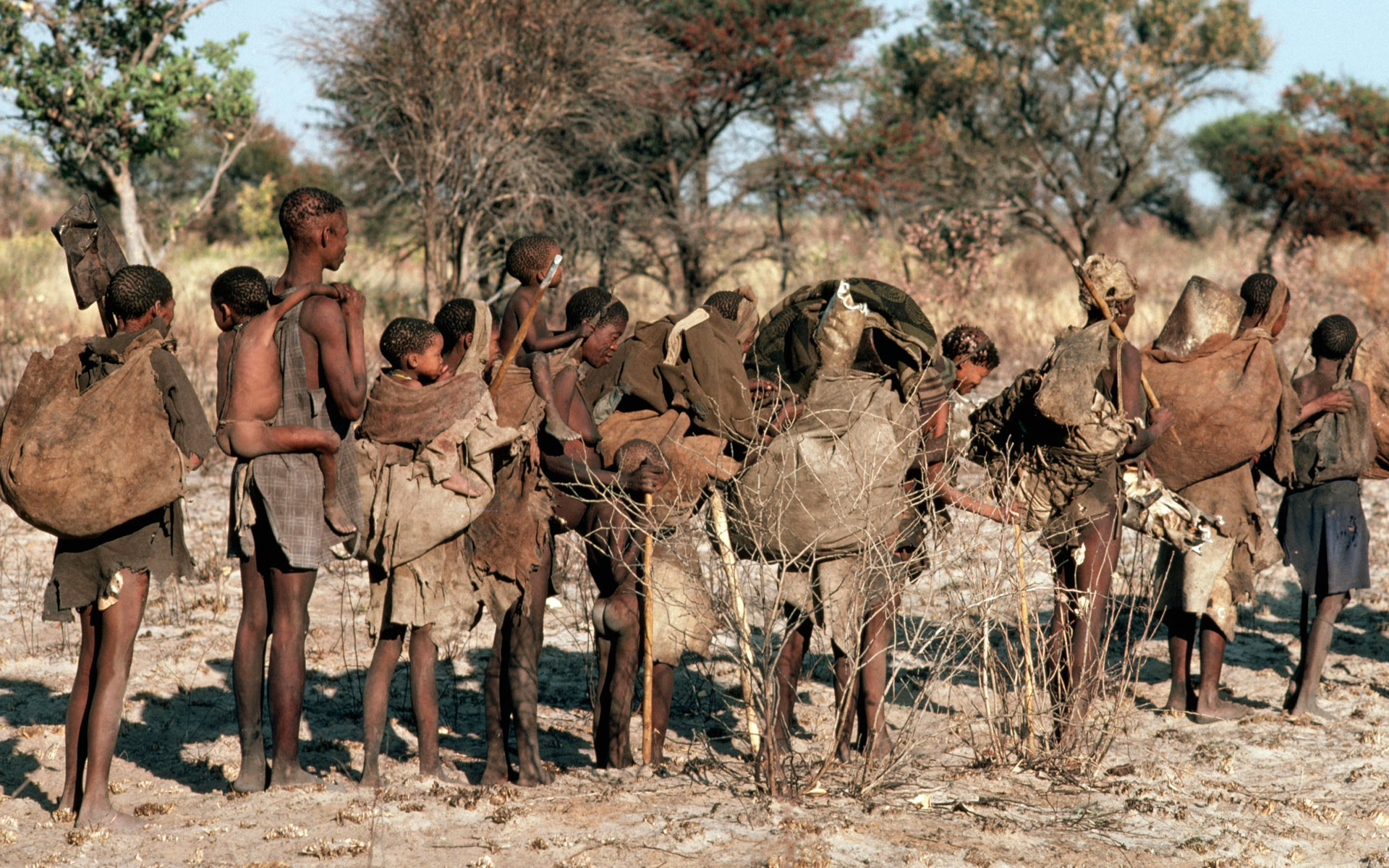 Сколько живет в африке