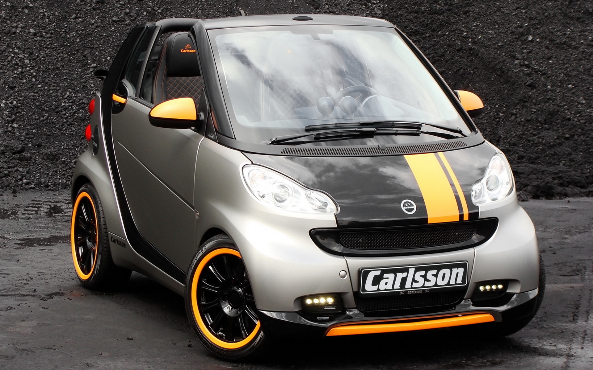 Carlsson-smart 2010