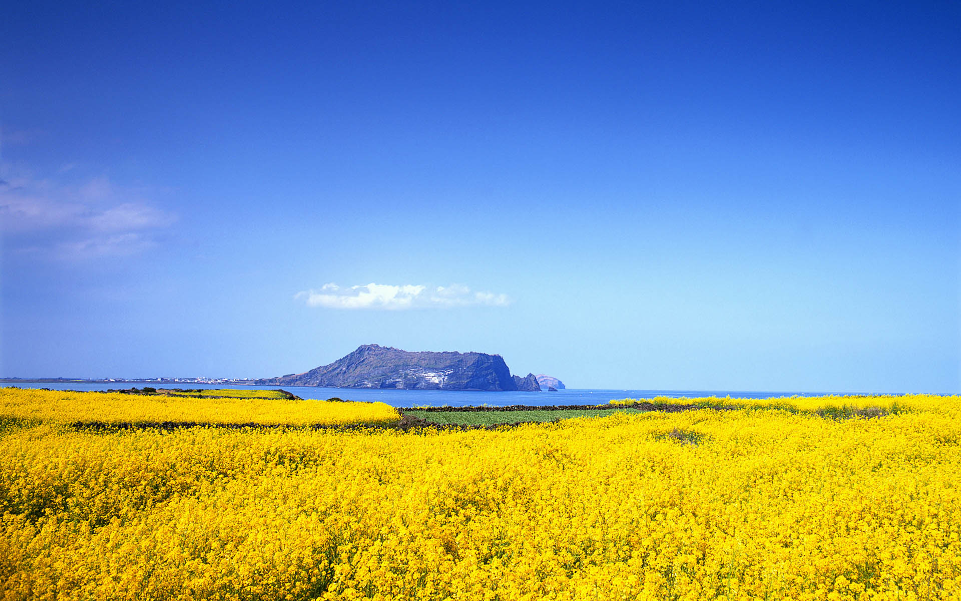 Nature Korea