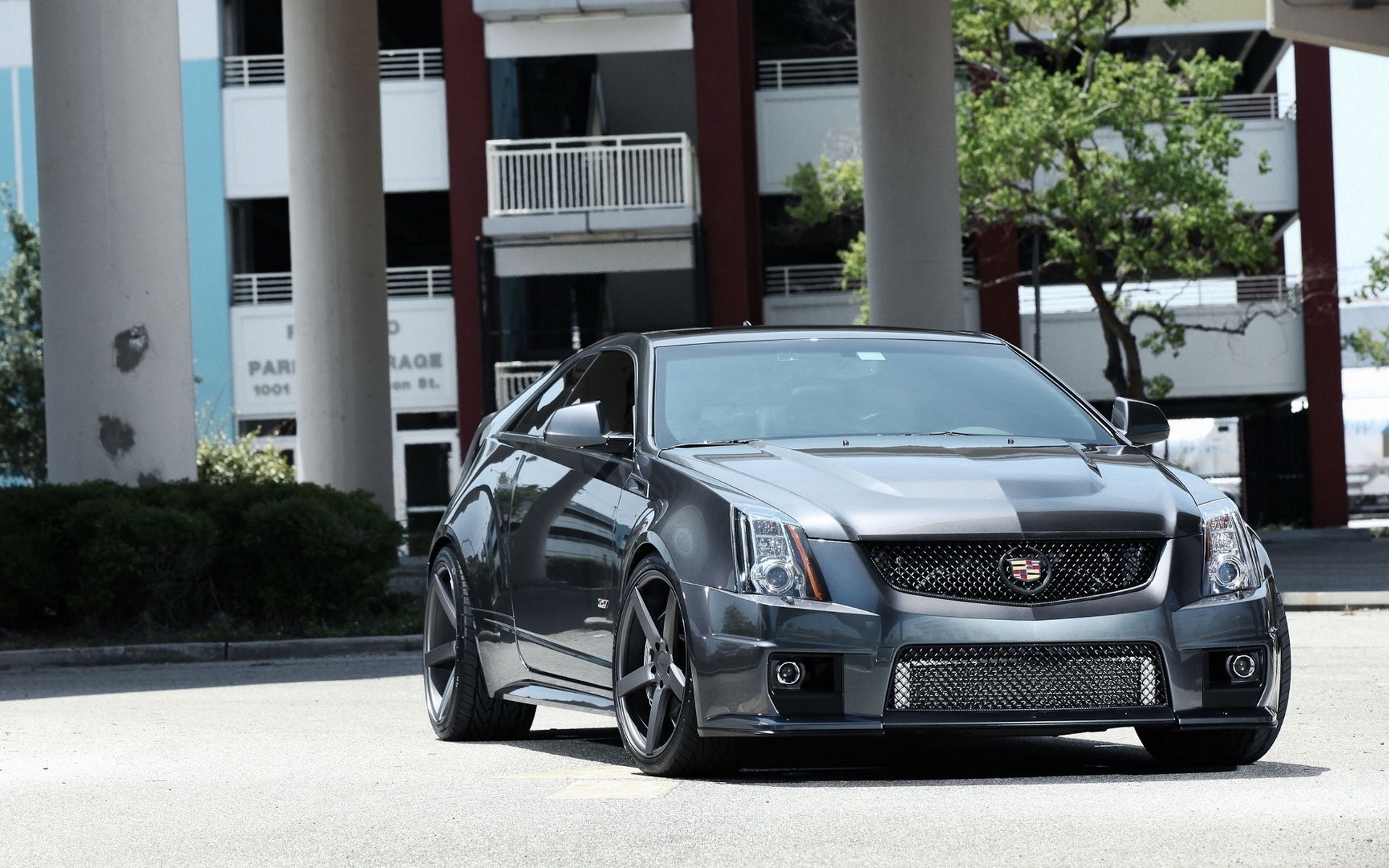 Cadillac Cts V Wallpapers And Images Wallpapers Pictures Photos