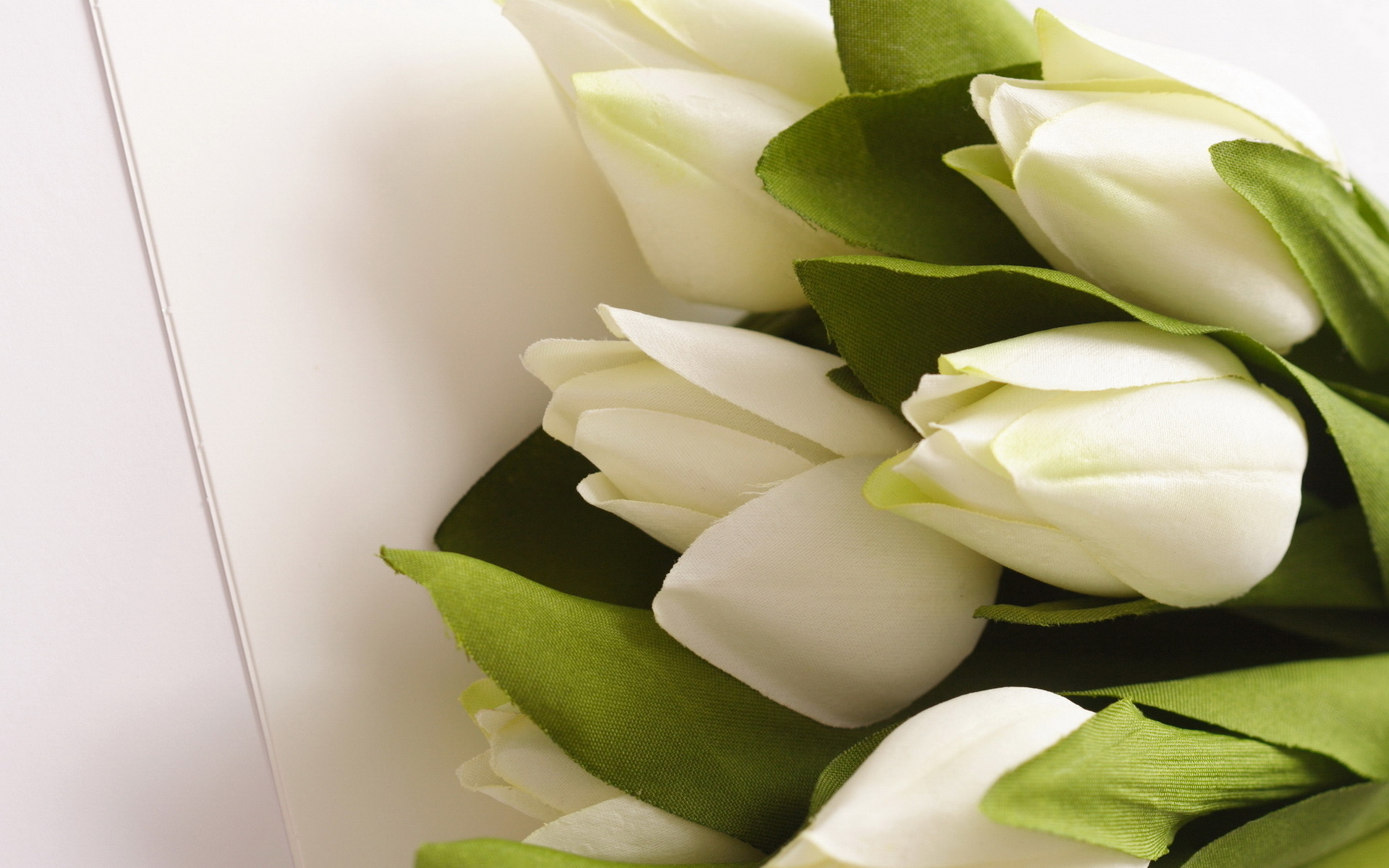 Обои с тюльпанами на телефон. Белые тюльпаны. Букет тюльпанов. Красивый букет белых тюльпанов. Тюльпаны обои.