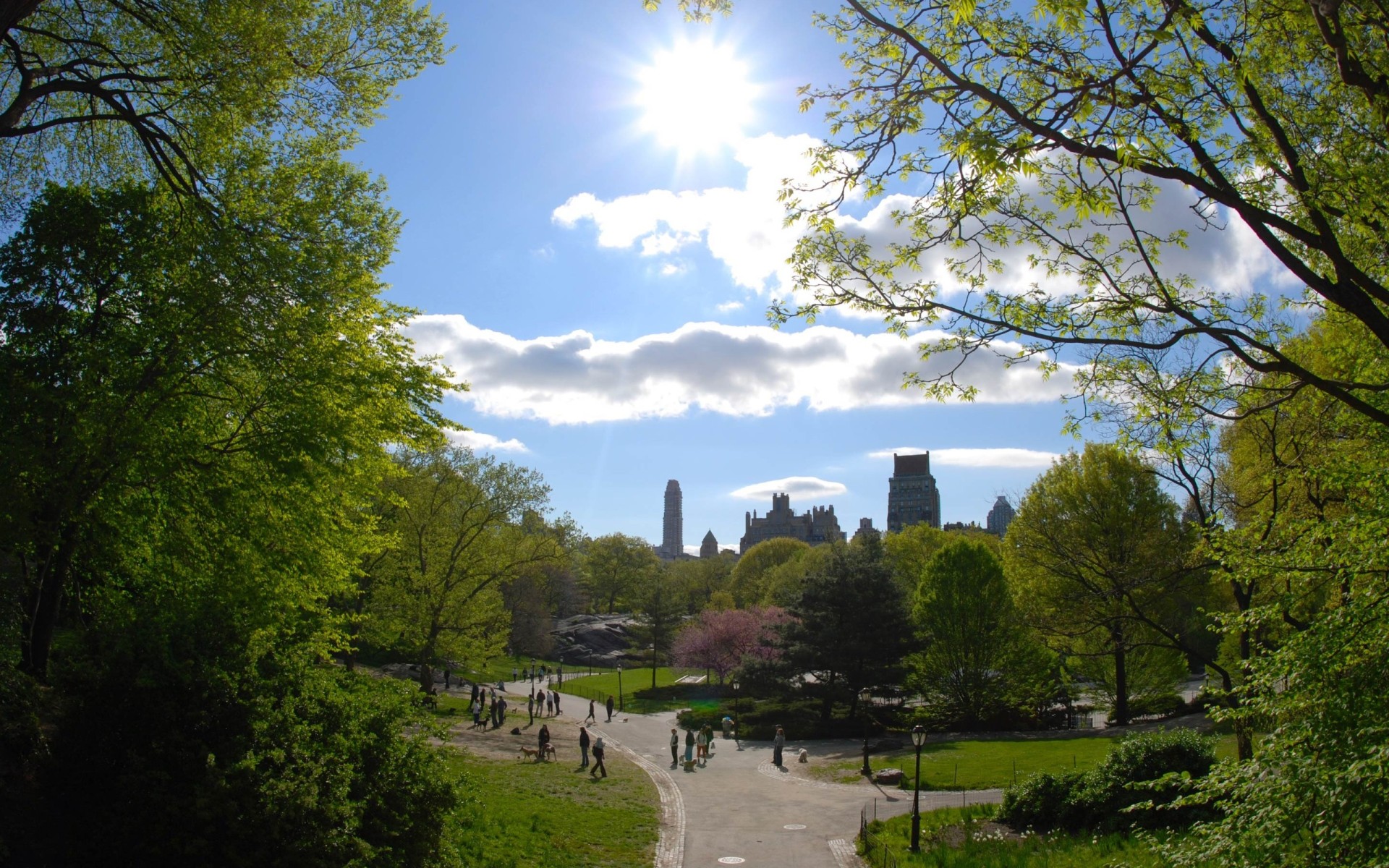 Городской парк