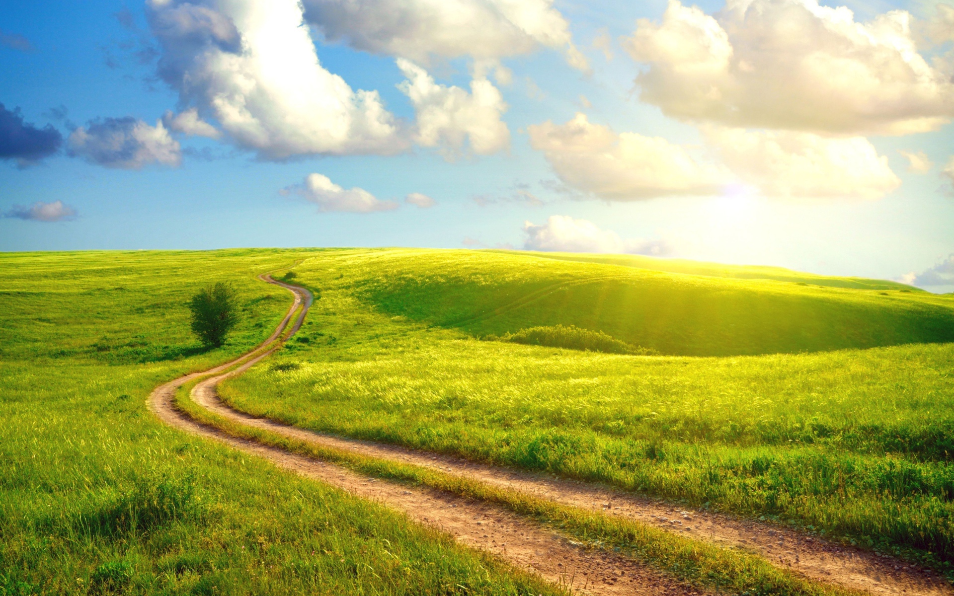 Солнечный день