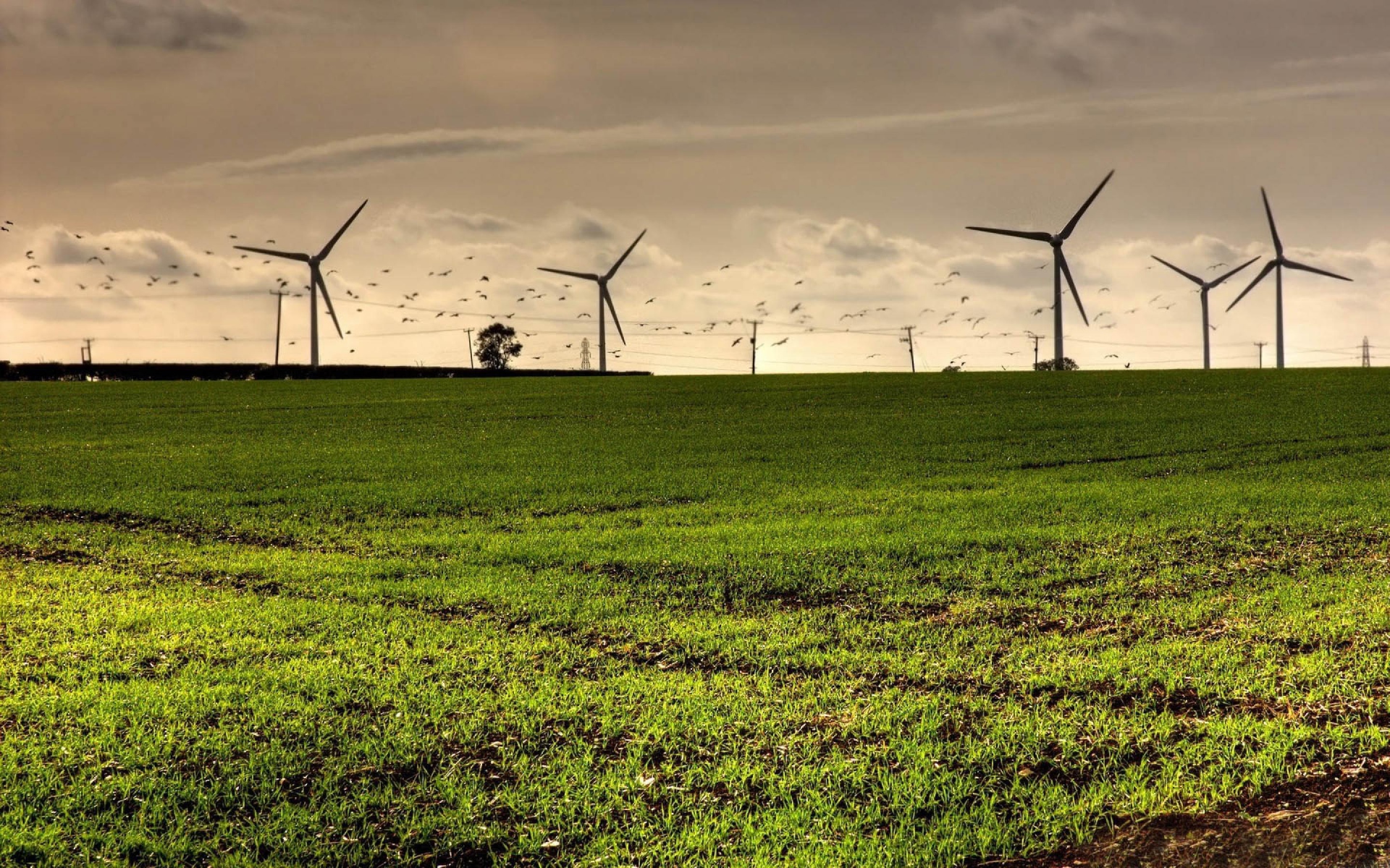 Турбины в полях
