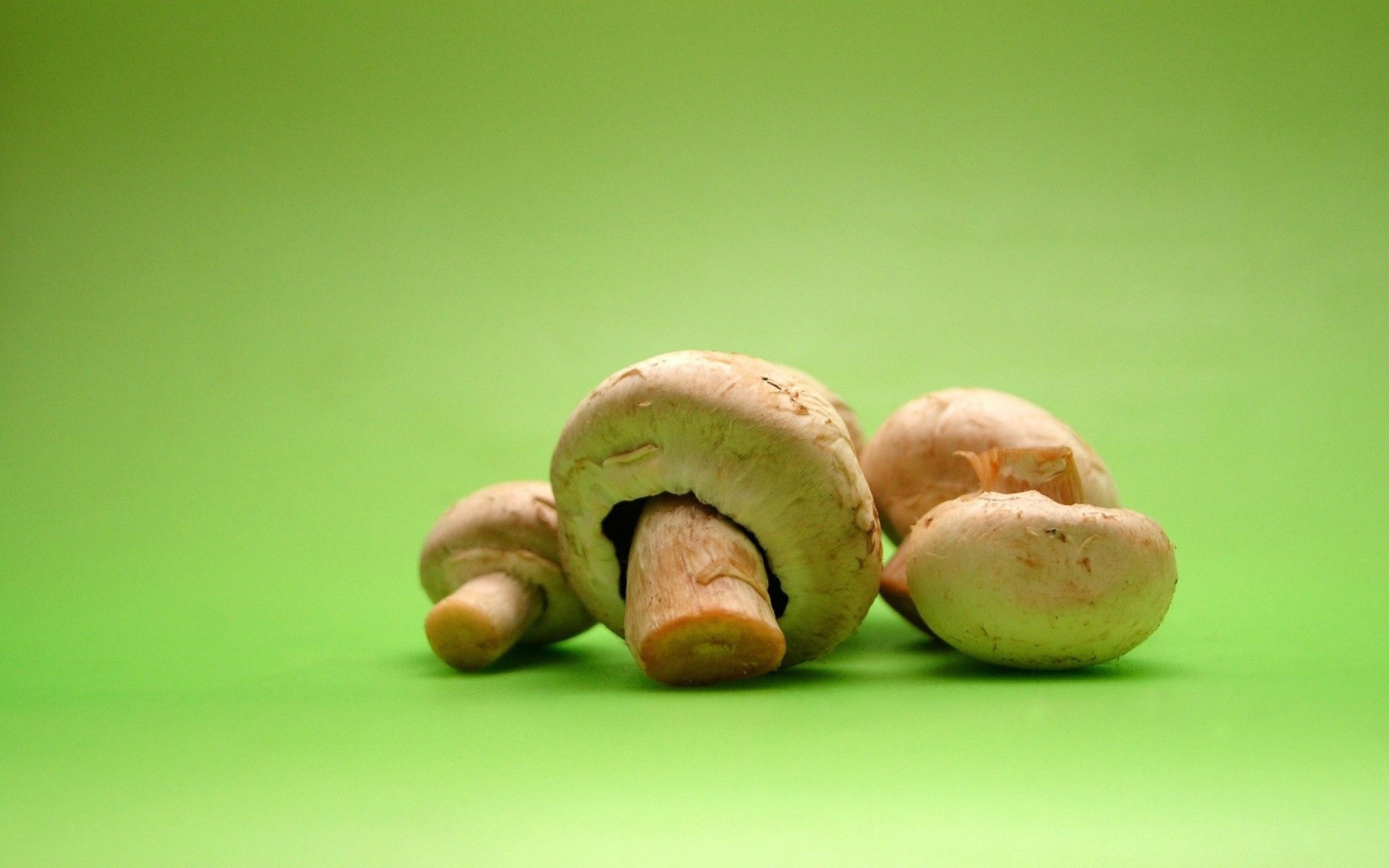 Грибы на зеленом фоне