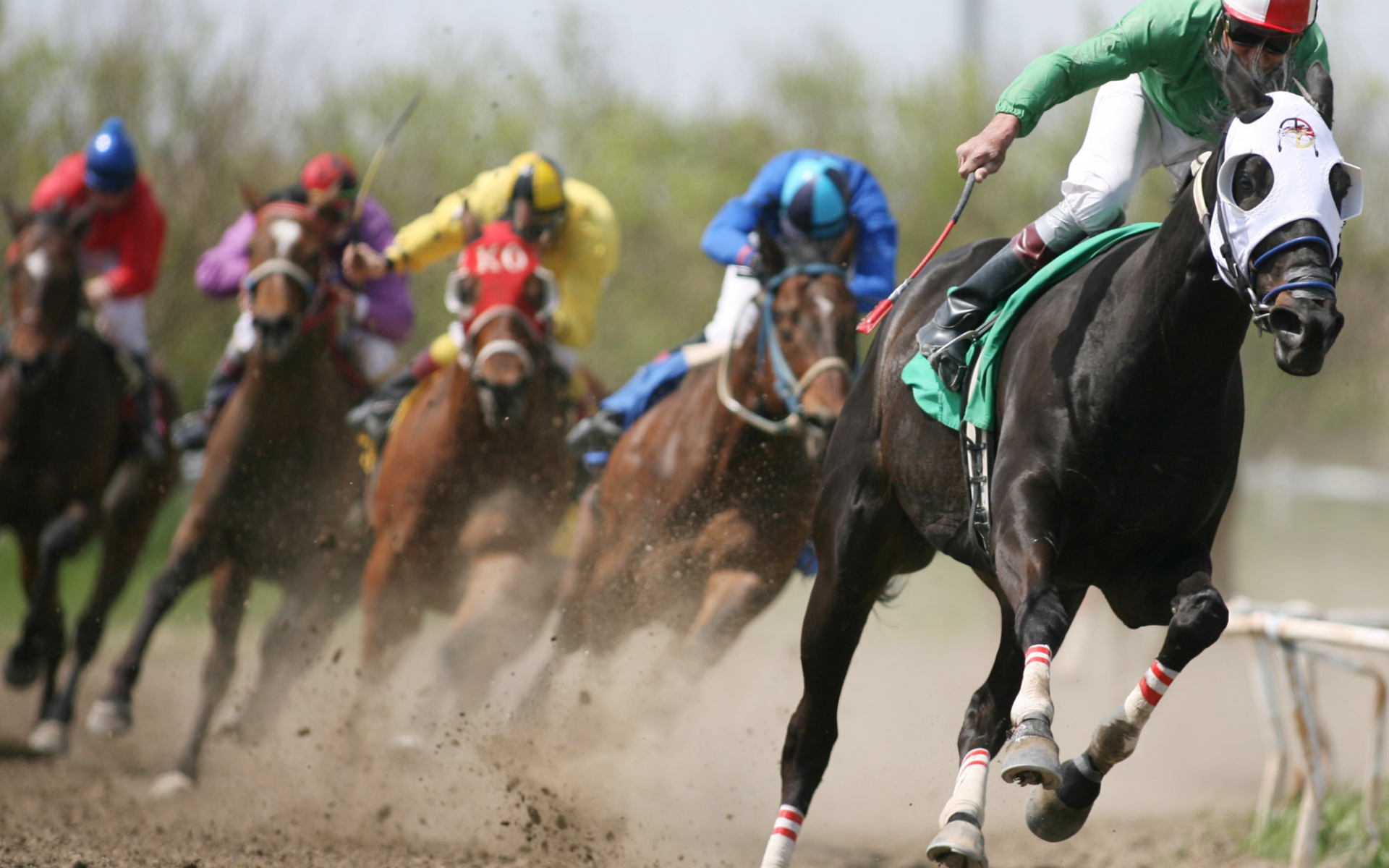 Гонки на лошадях