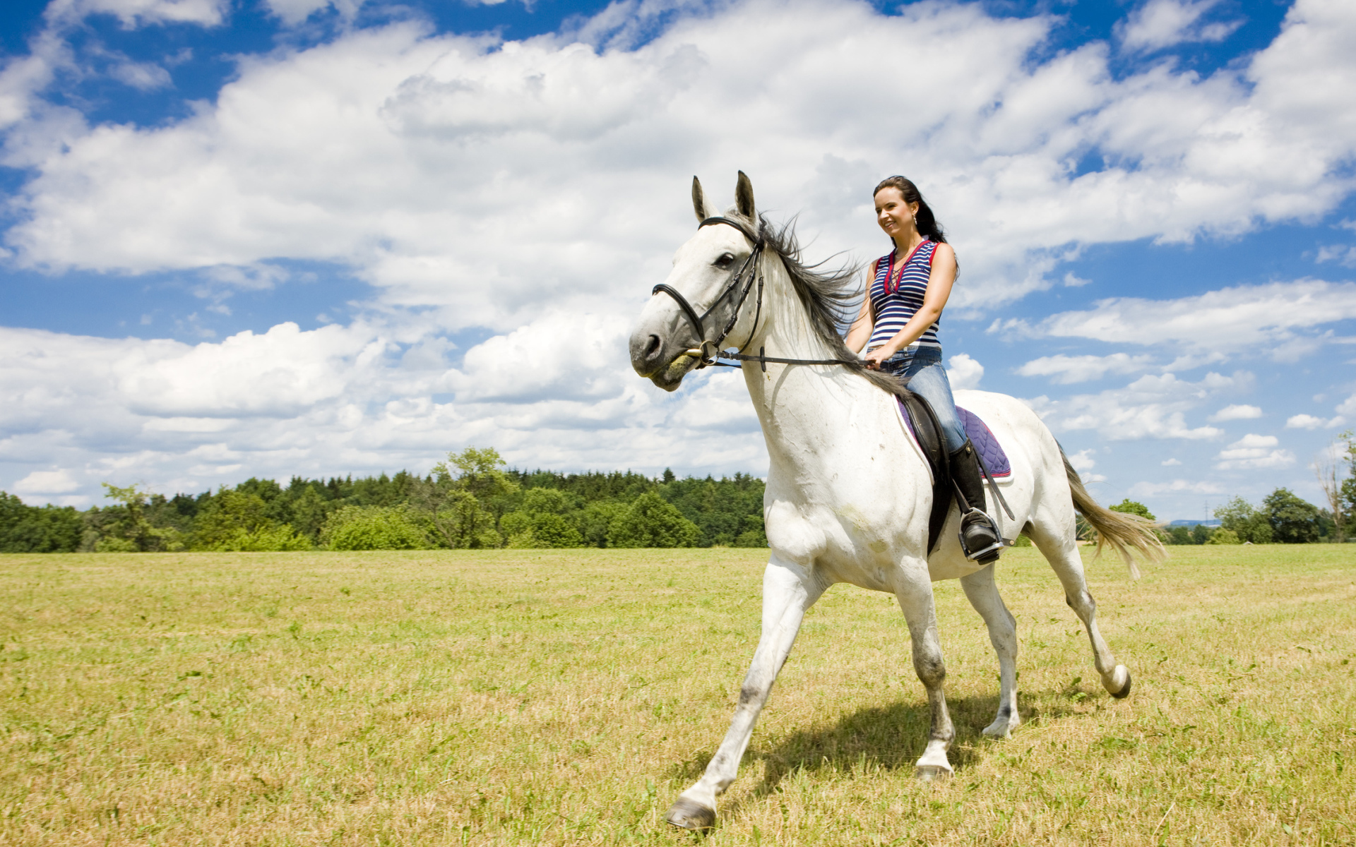 Катание на лошадях