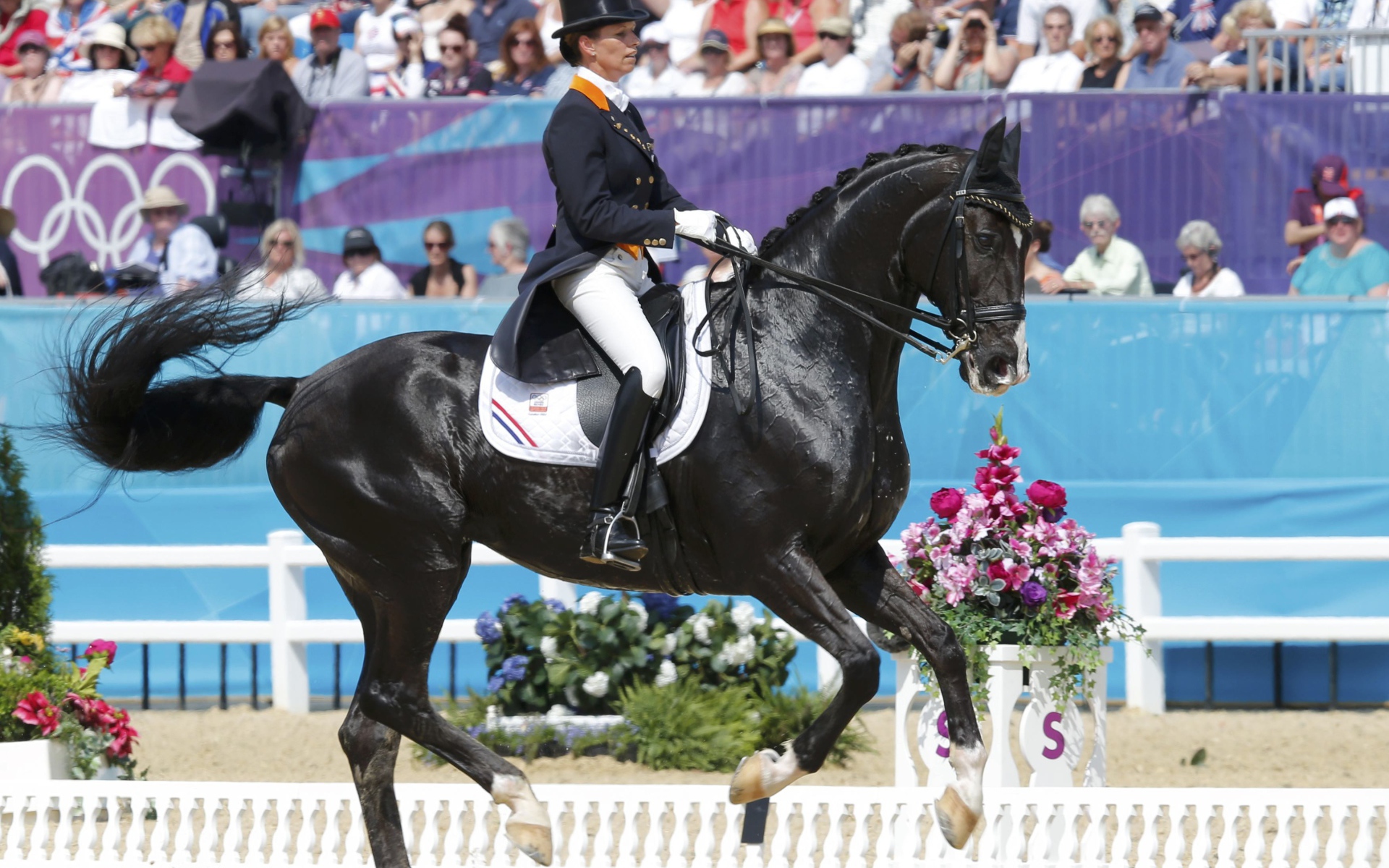 Всадник на лошади