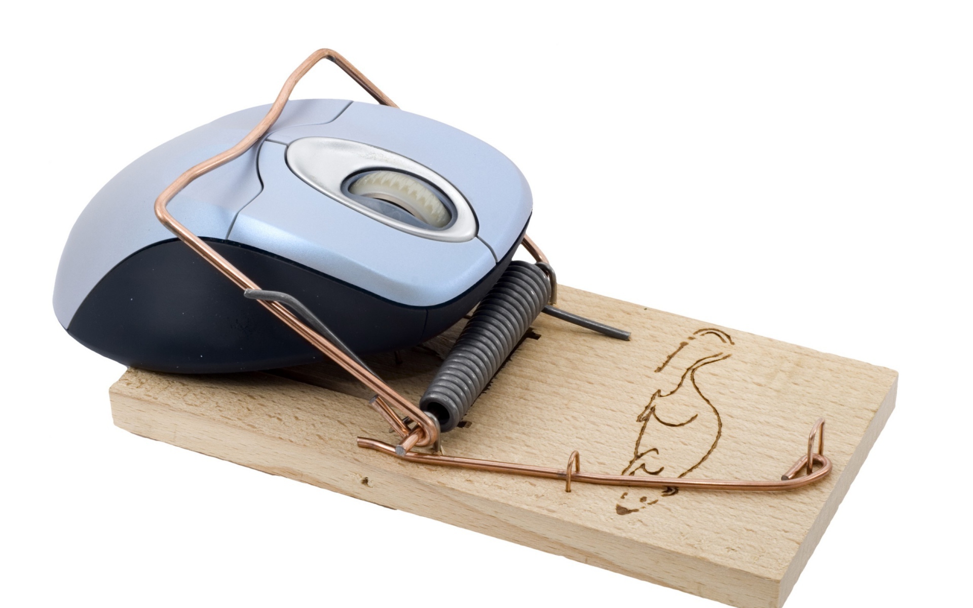 Мышка попалась