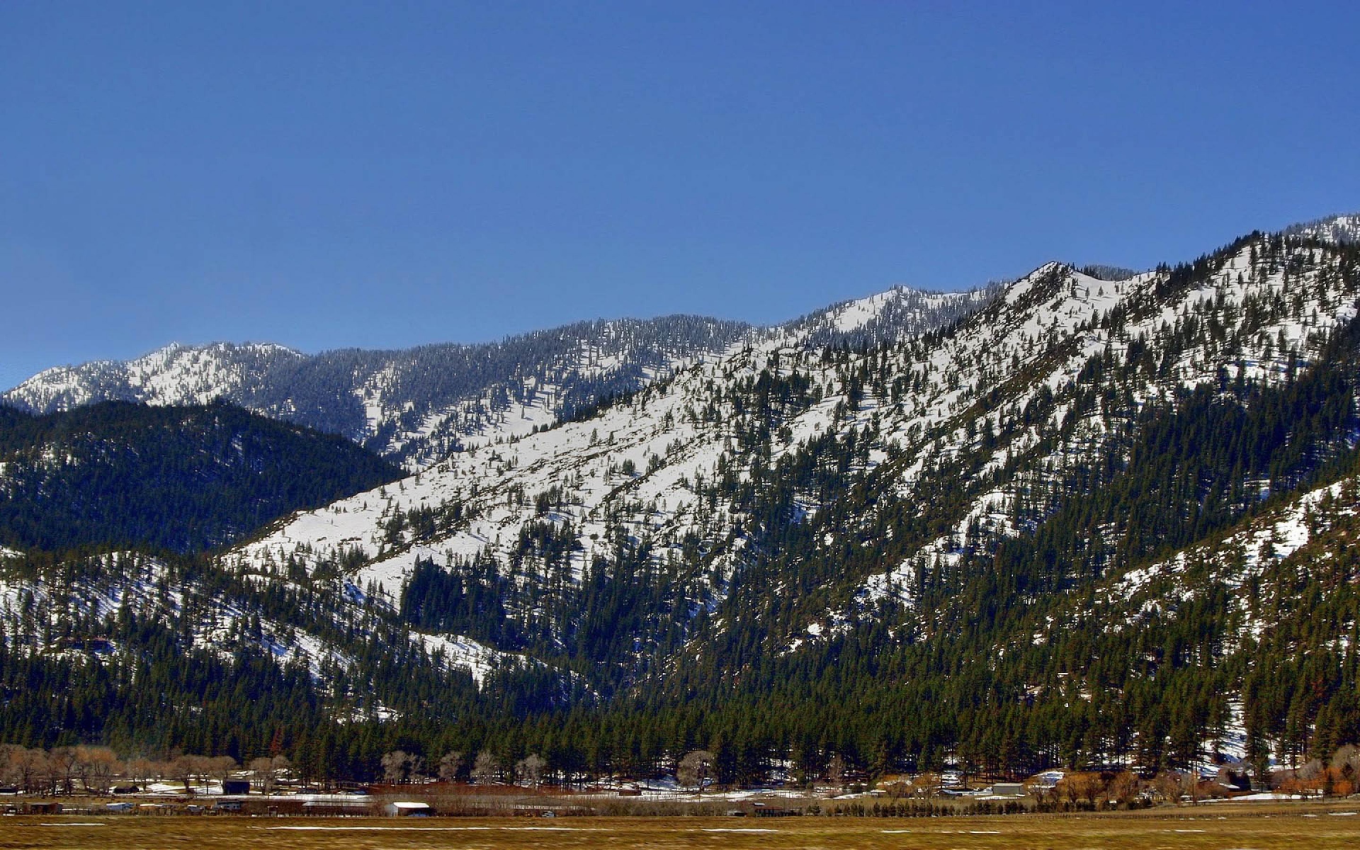 Горные защитники