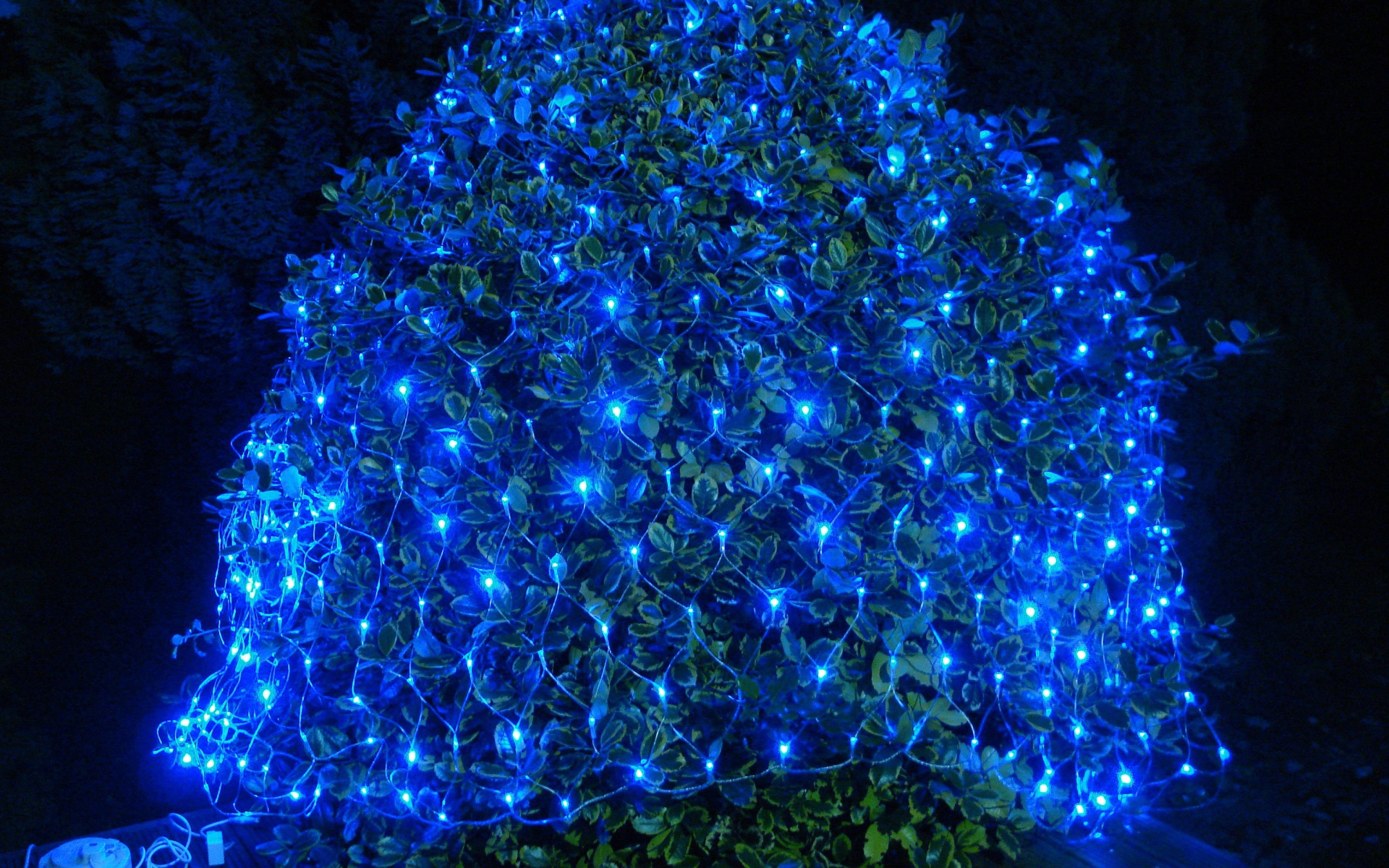 Гирлянда сеть