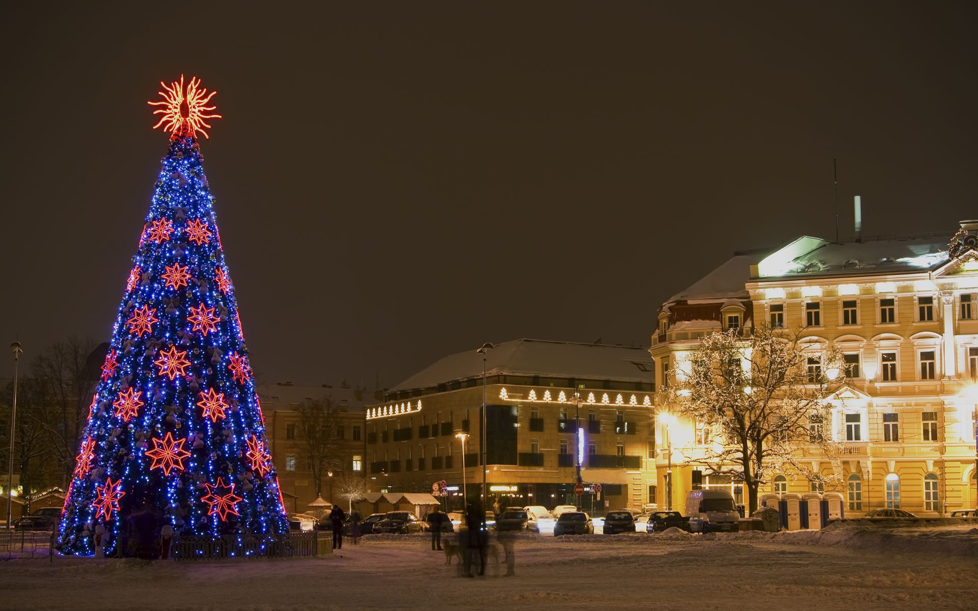 Елка на Новый Год лошади в Вильнюсе