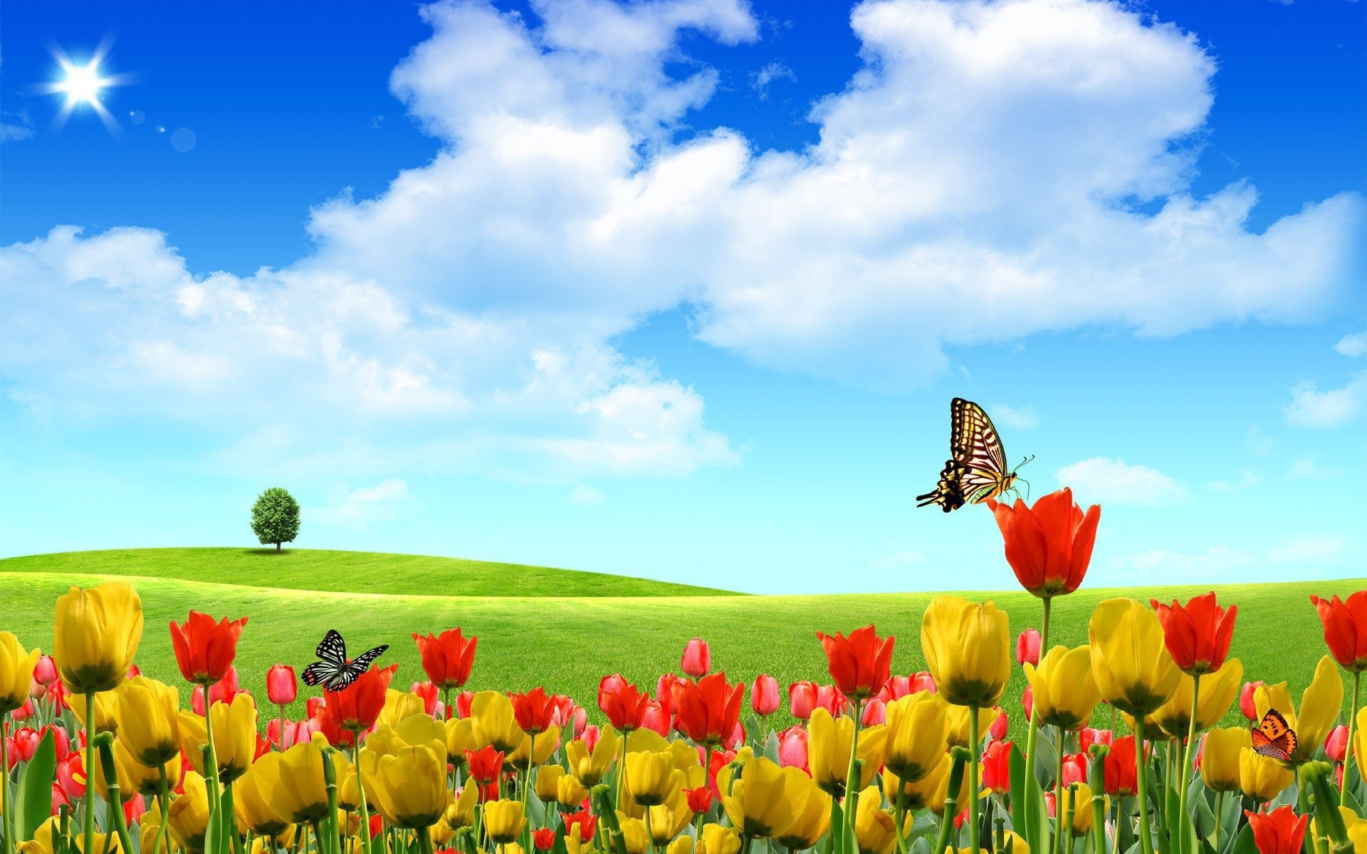 Абстрактные бабочки на тюльпанах