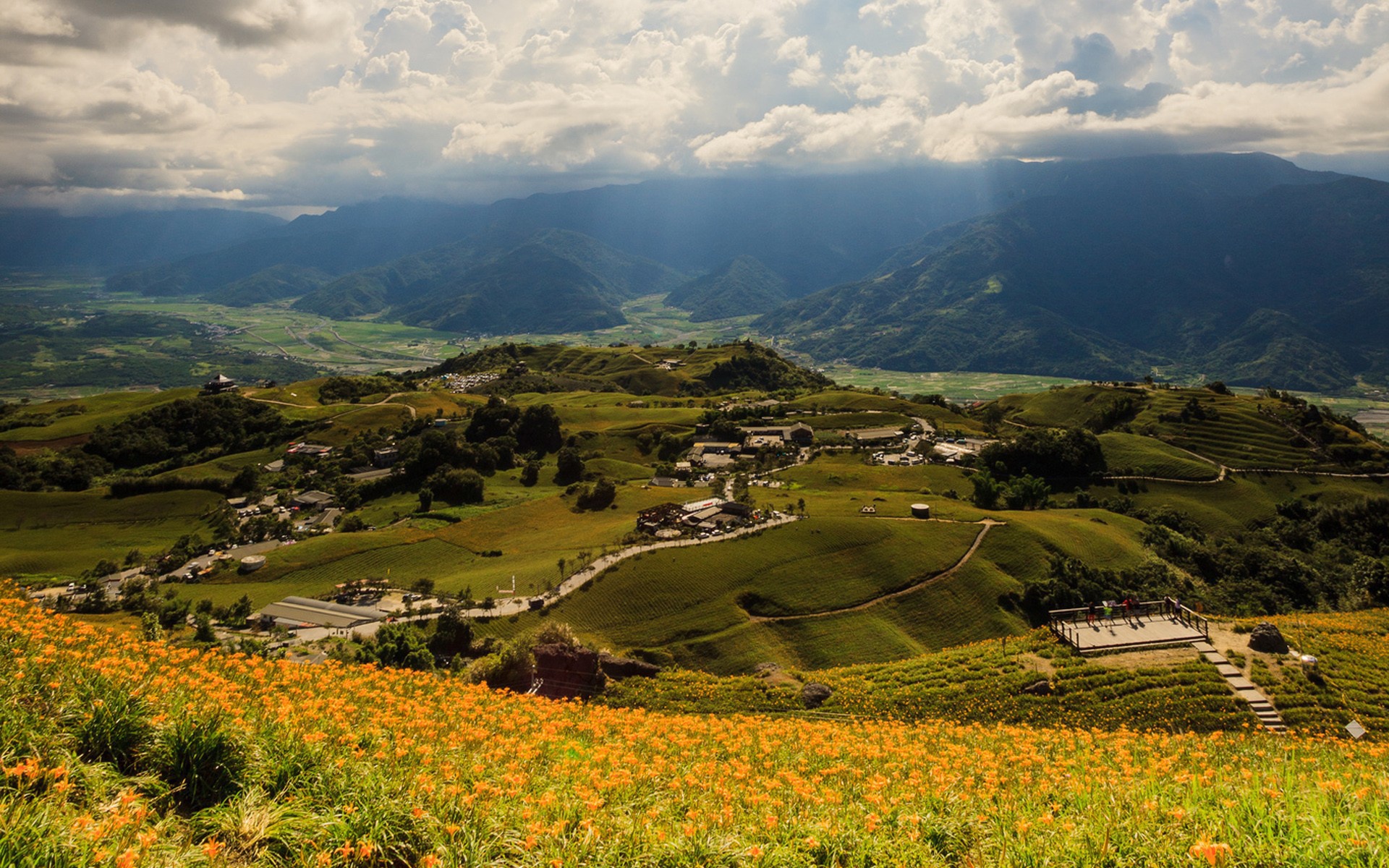 Холмистый зеленый пейзаж Тайваня