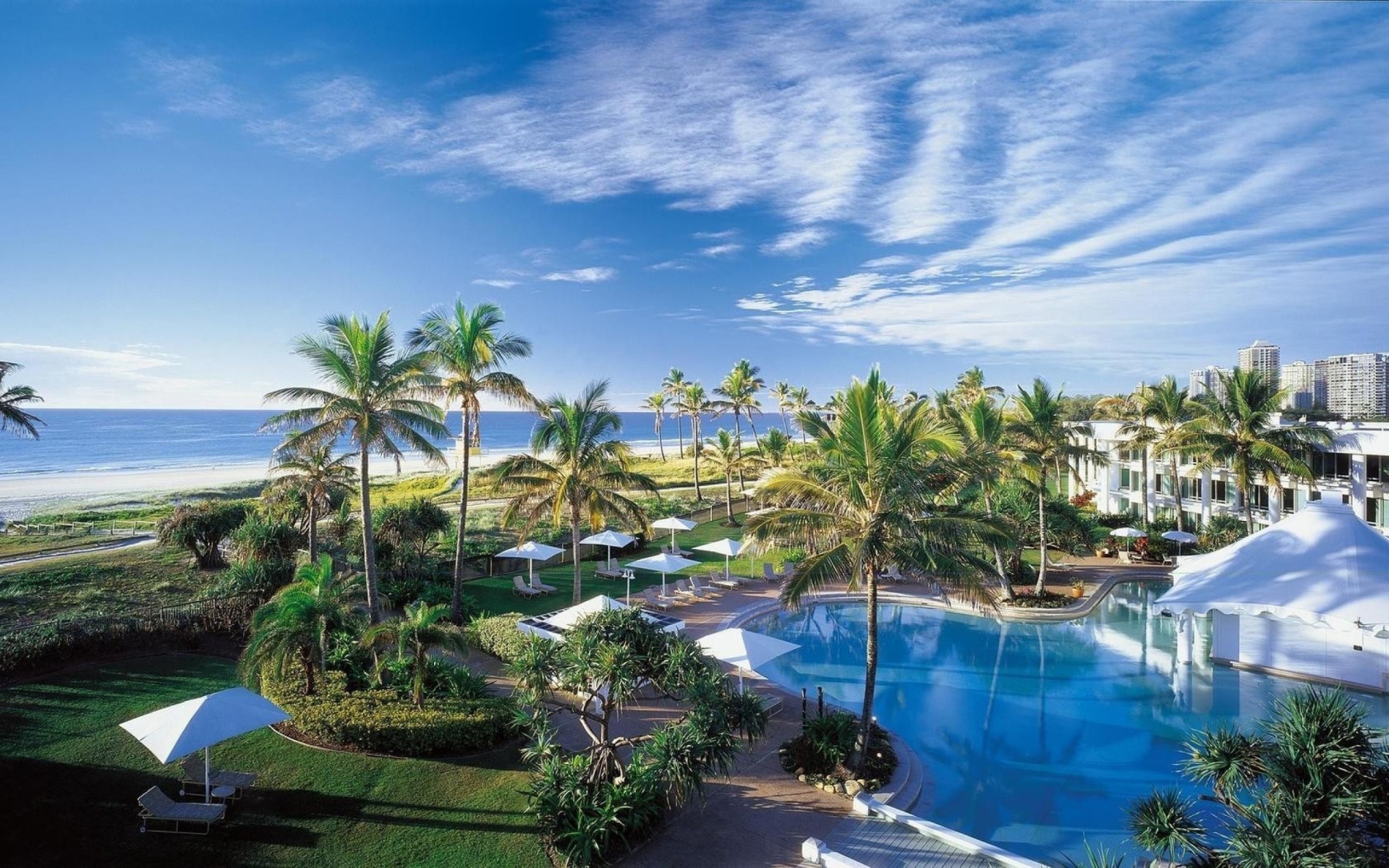 Отдых у моря под пальмами