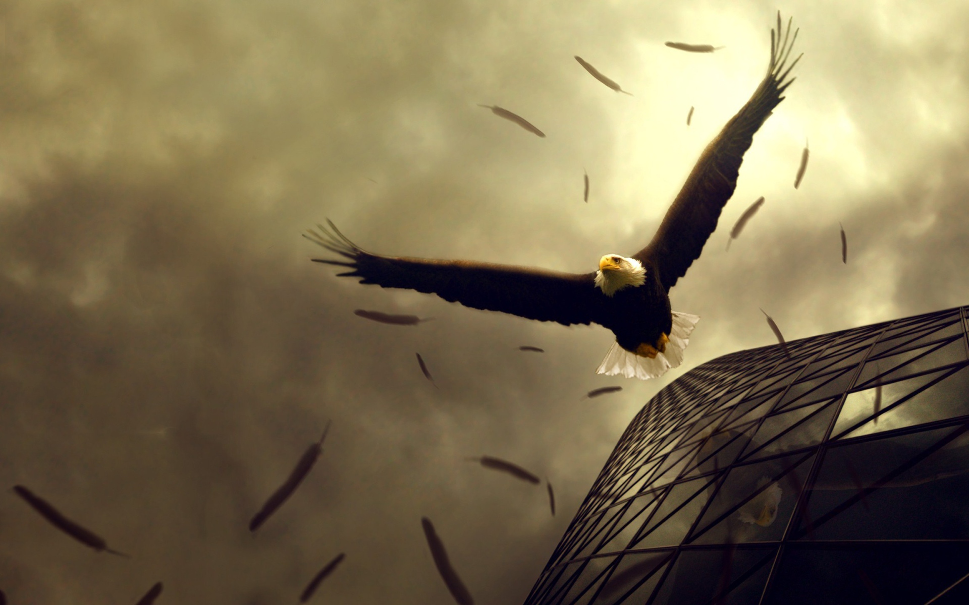 Орел теряет перья