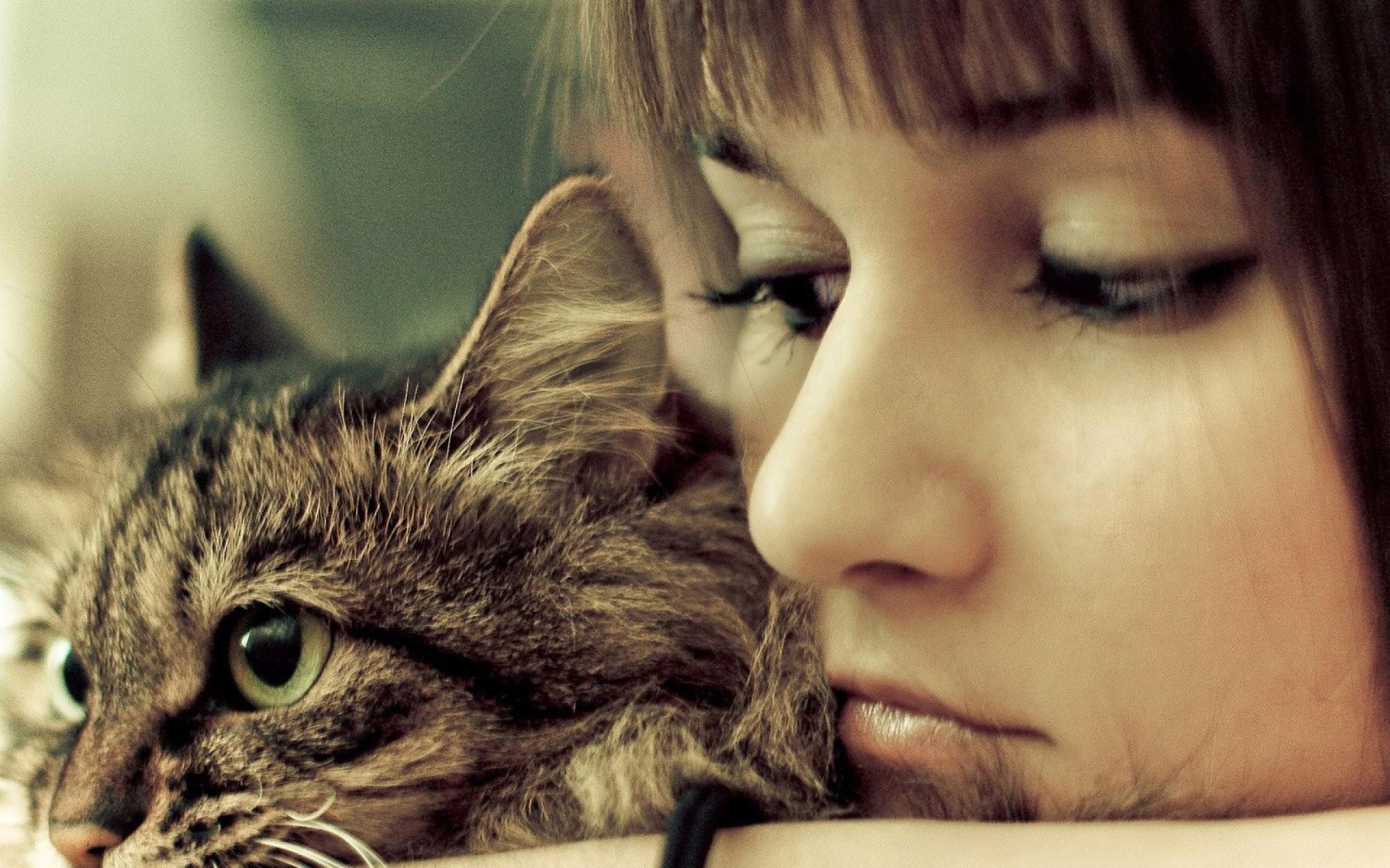 Портрет с кошкой