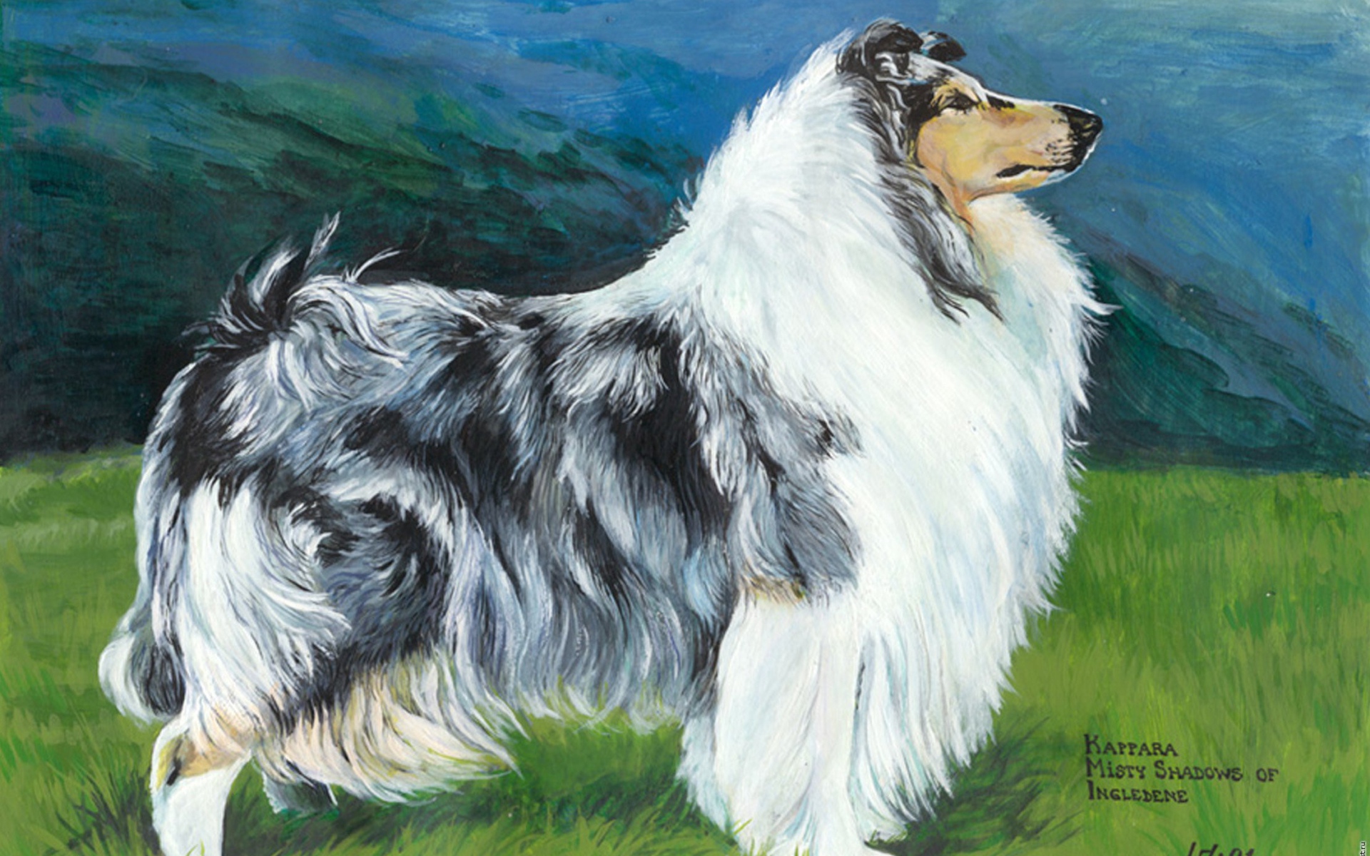 Картина с изображением колли