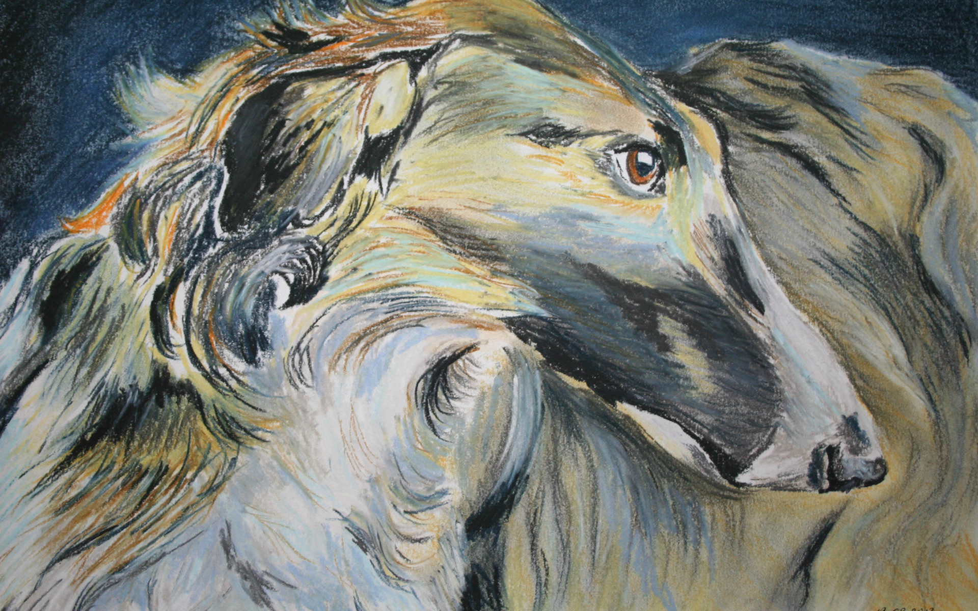 Русская борзая на рисунке