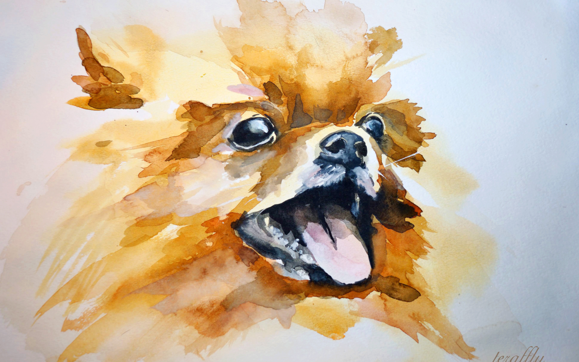 На рисунке шпиц