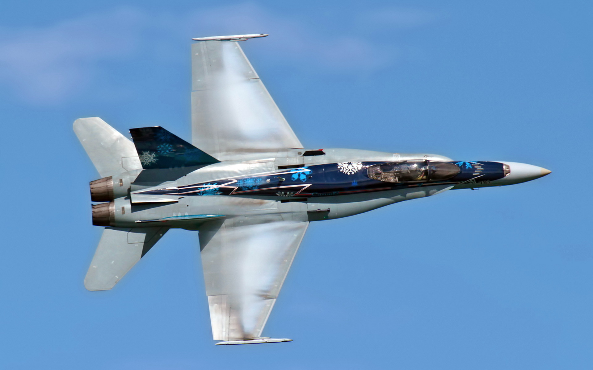 Самолет CF-18