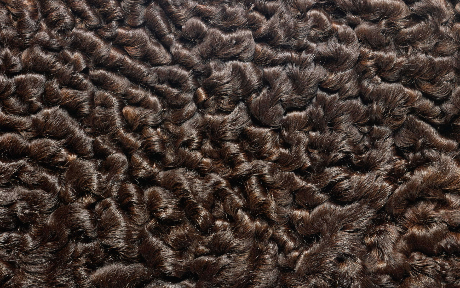 Мех каракуль