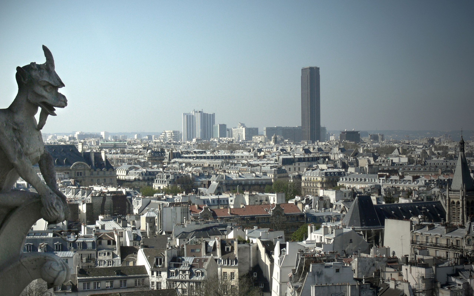 Вид на Париж с высоты