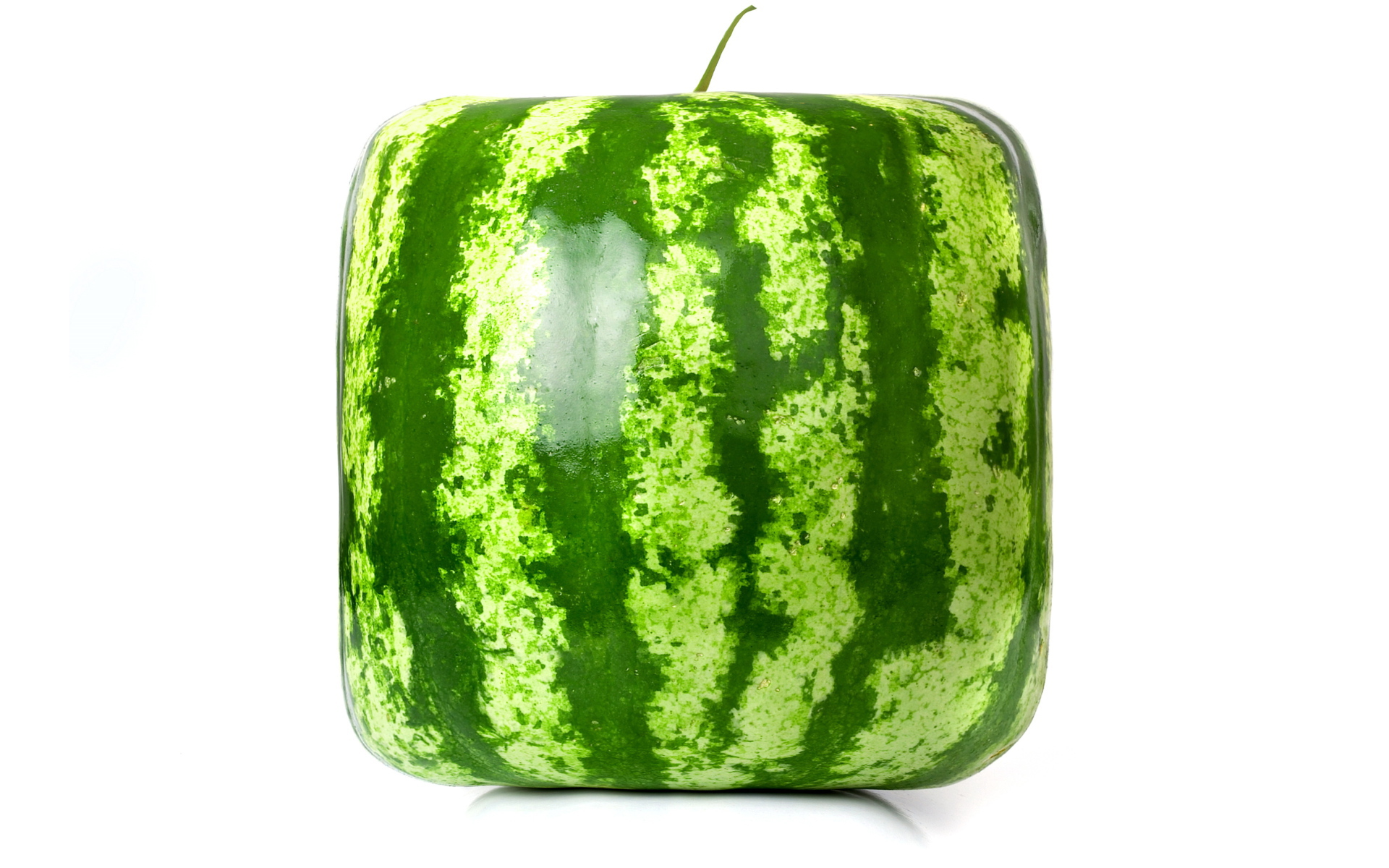 Просто квадратный арбуз