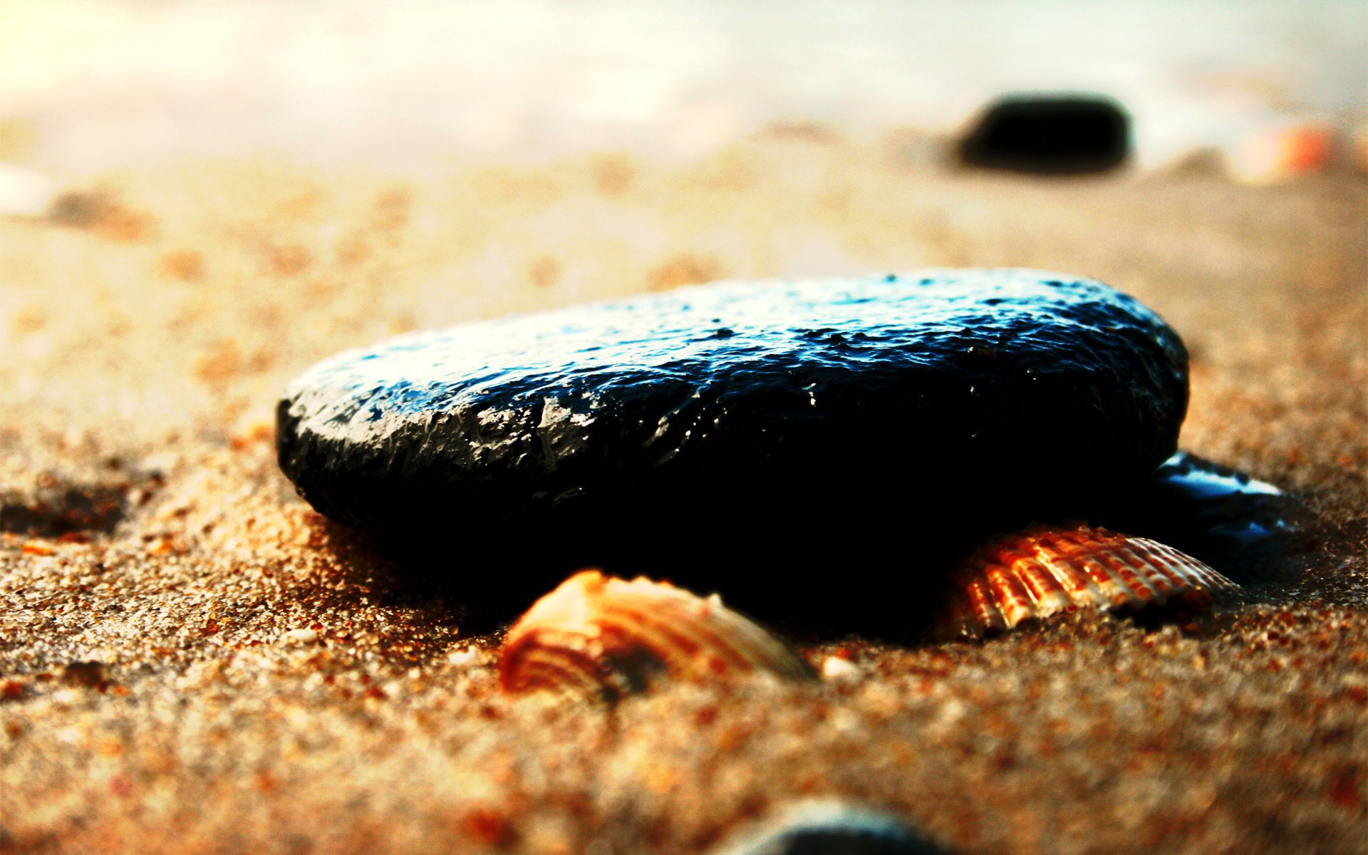 Камень и ракушки